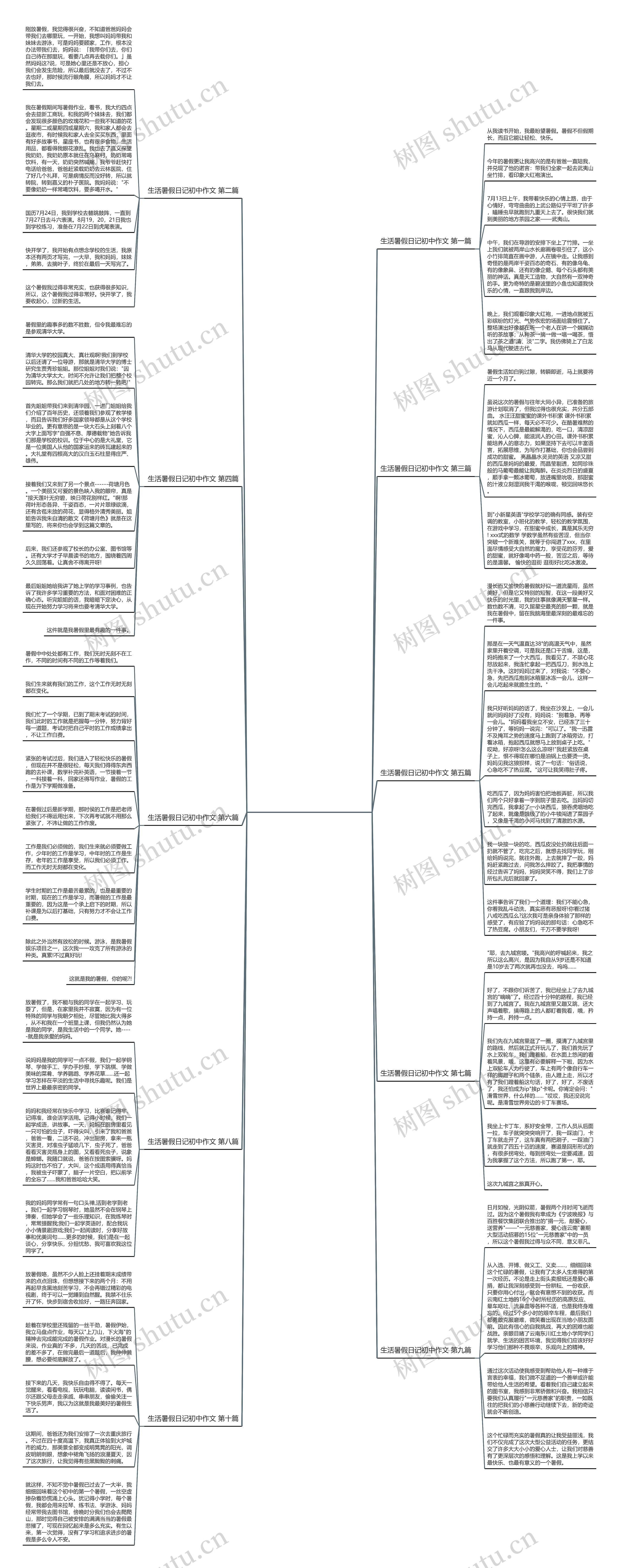 生活暑假日记初中作文精选10篇思维导图