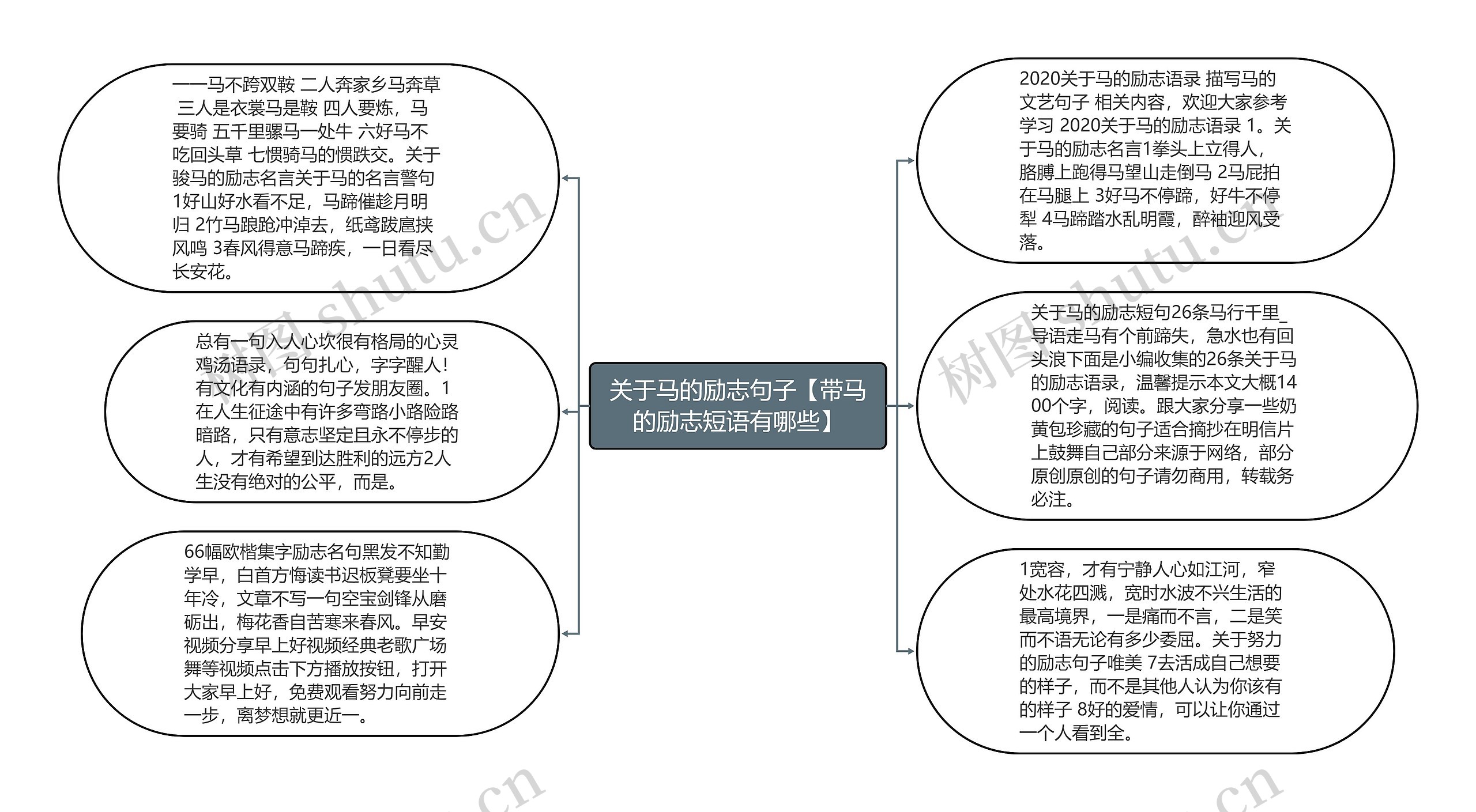 关于马的励志句子【带马的励志短语有哪些】