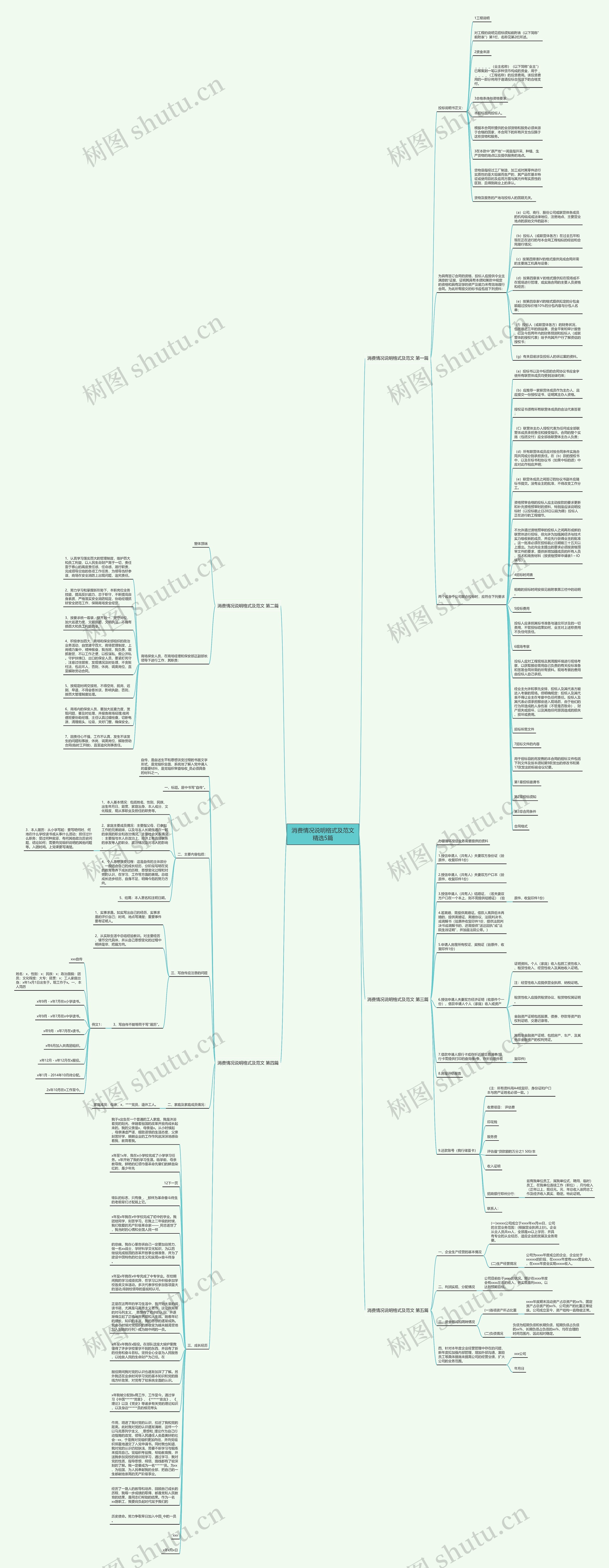 消费情况说明格式及范文精选5篇思维导图