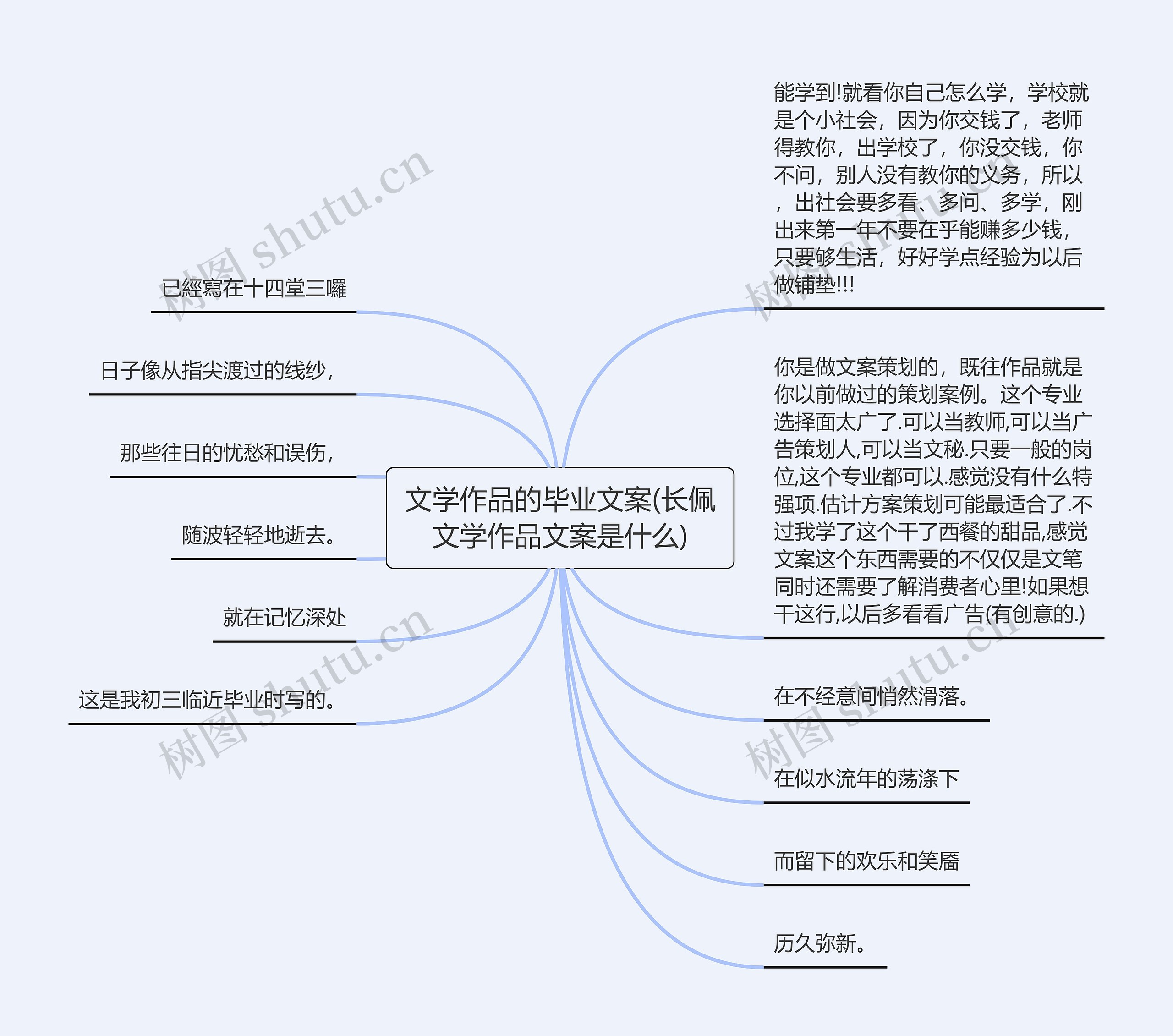 文学作品的毕业文案(长佩文学作品文案是什么)