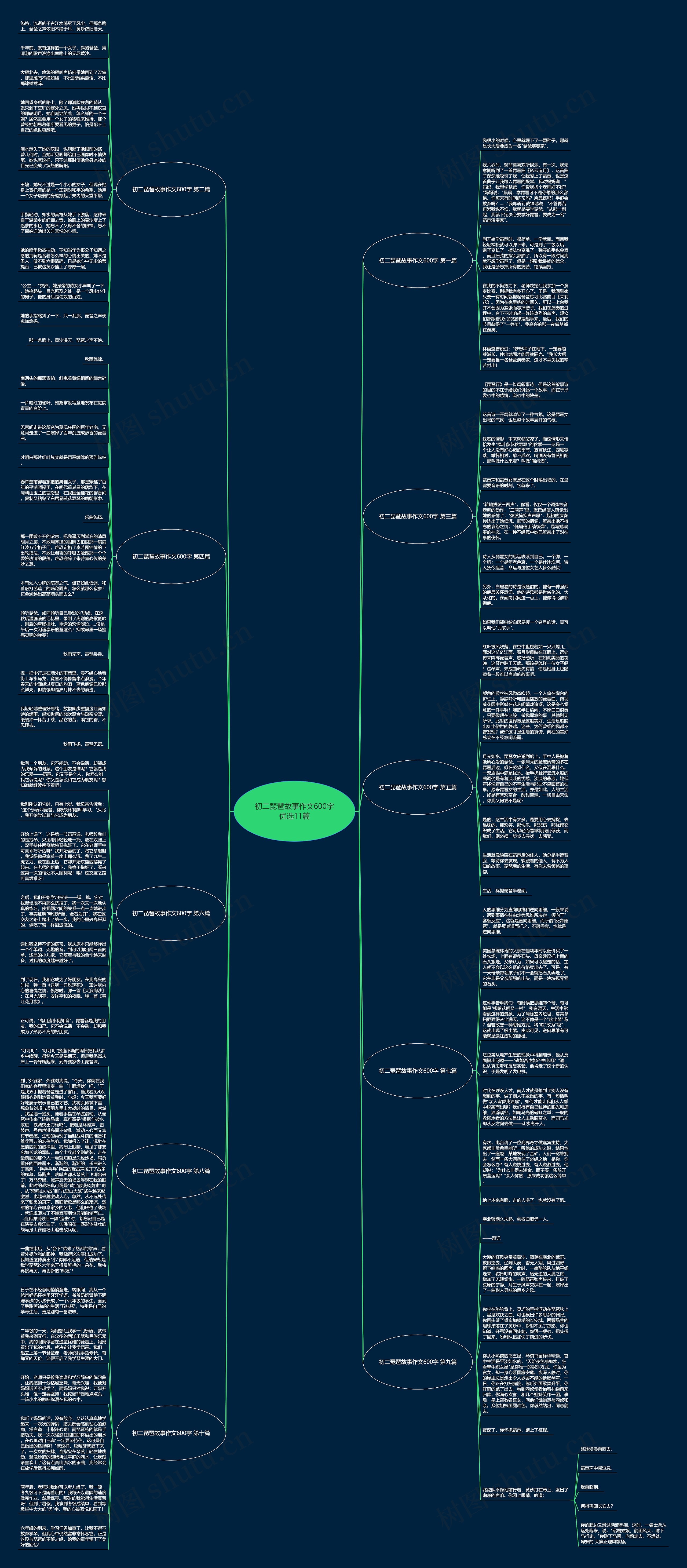 初二琵琶故事作文600字优选11篇思维导图