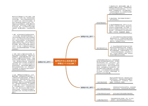 翡翠挂件怎么保养最有效?掌握这3个方法足够了 翡翠挂件怎么保养最有效?掌握这3个方法足够了