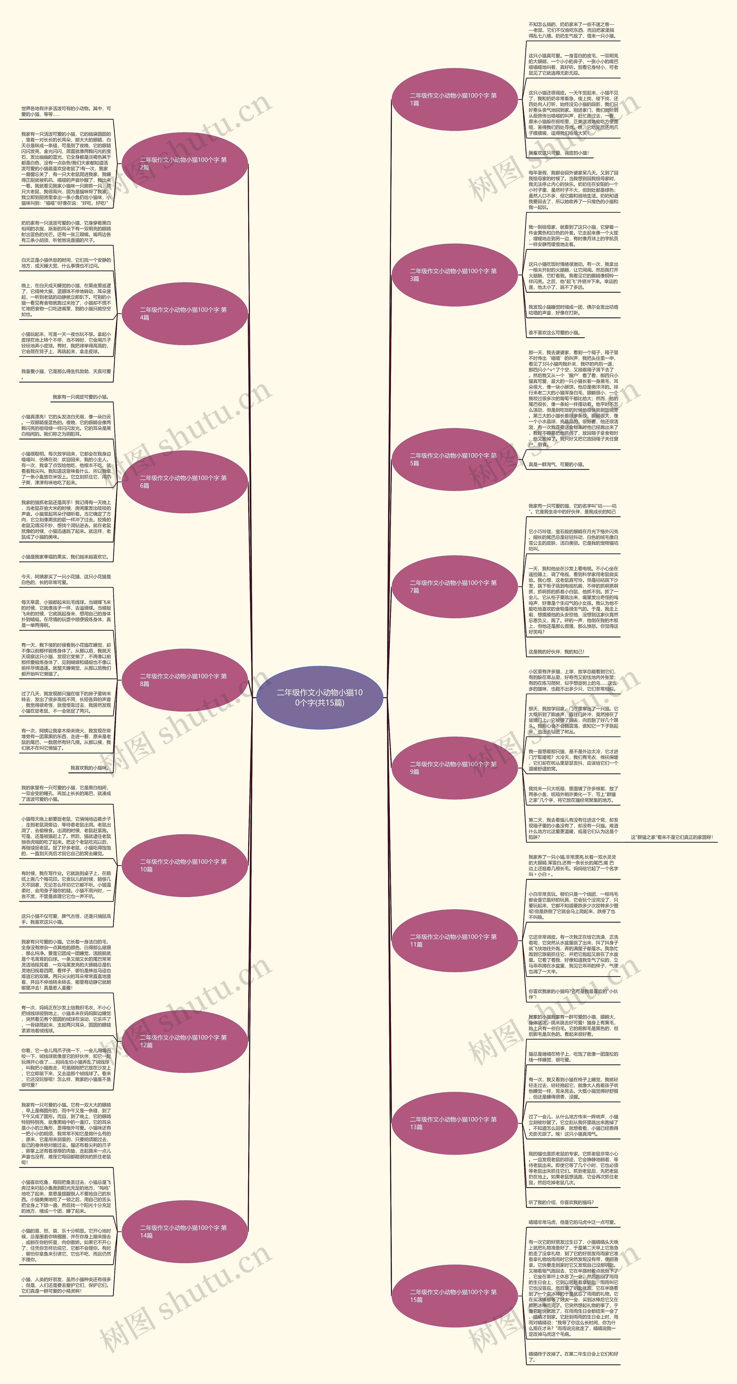 二年级作文小动物小猫100个字(共15篇)思维导图