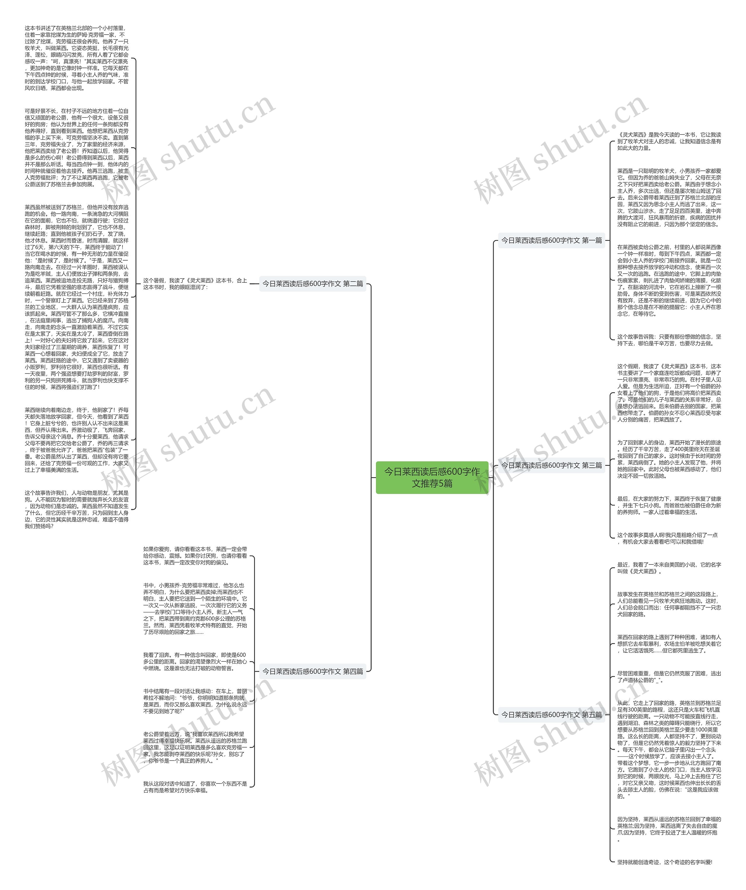 今日莱西读后感600字作文推荐5篇思维导图