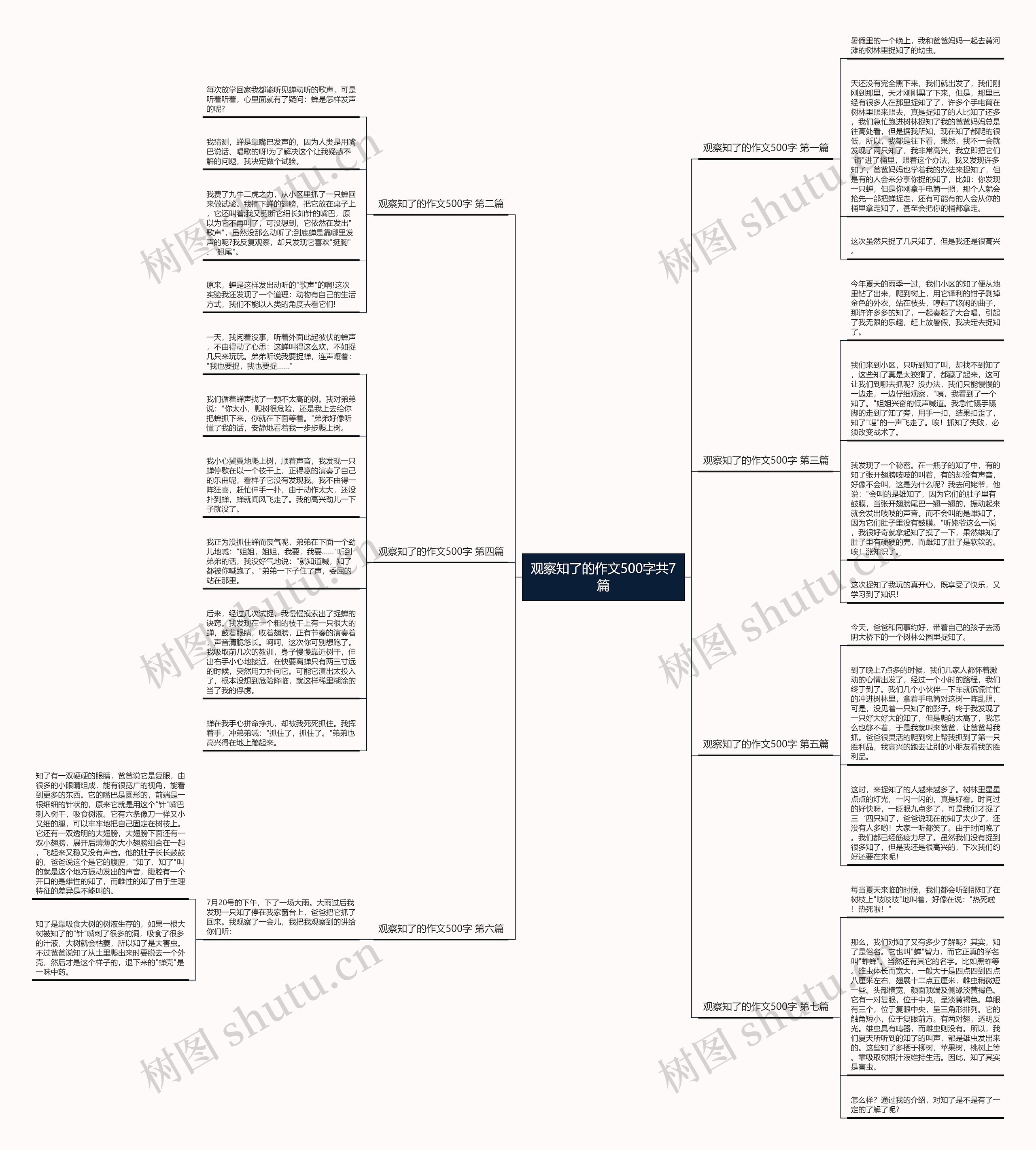 观察知了的作文500字共7篇思维导图