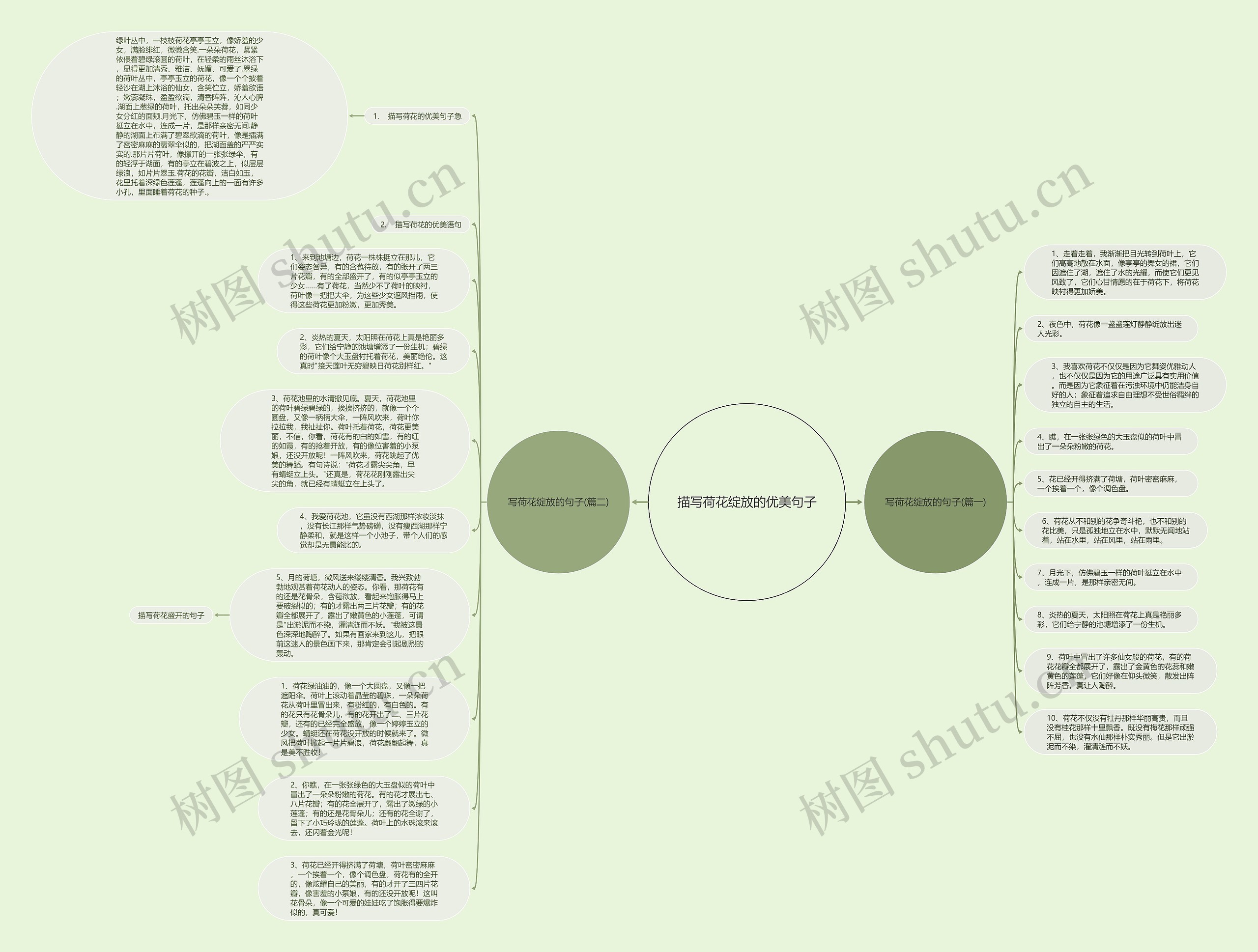 描写荷花绽放的优美句子思维导图