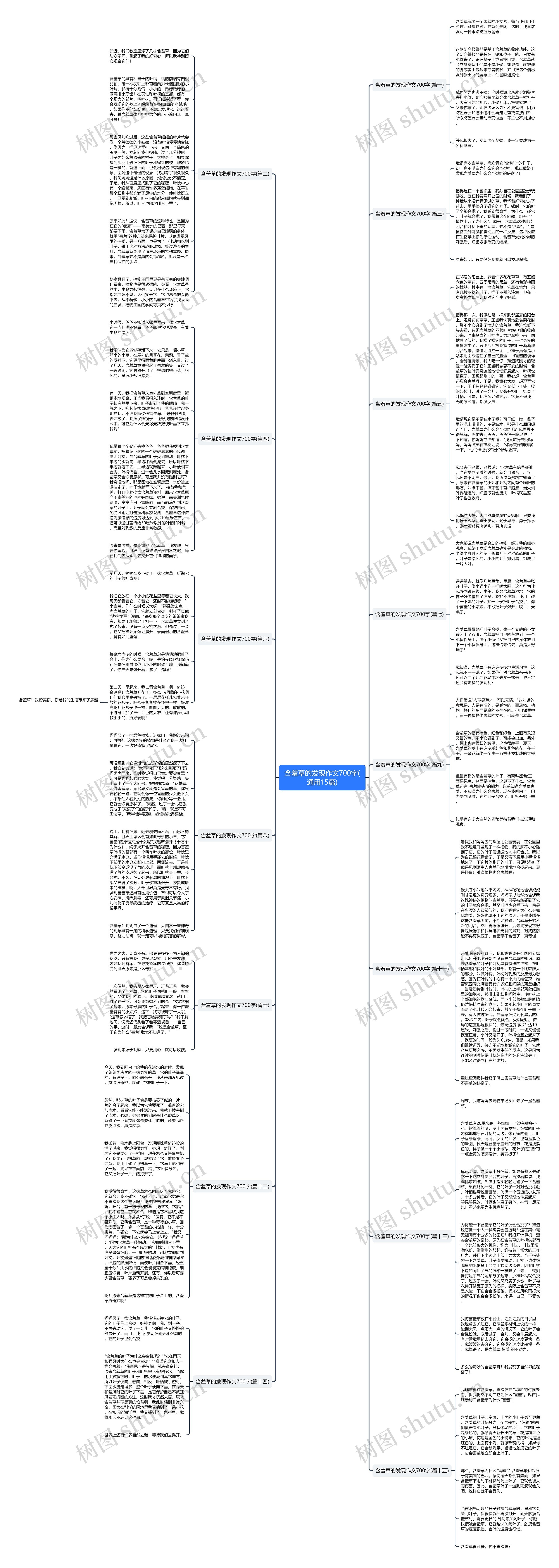 含羞草的发现作文700字(通用15篇)思维导图