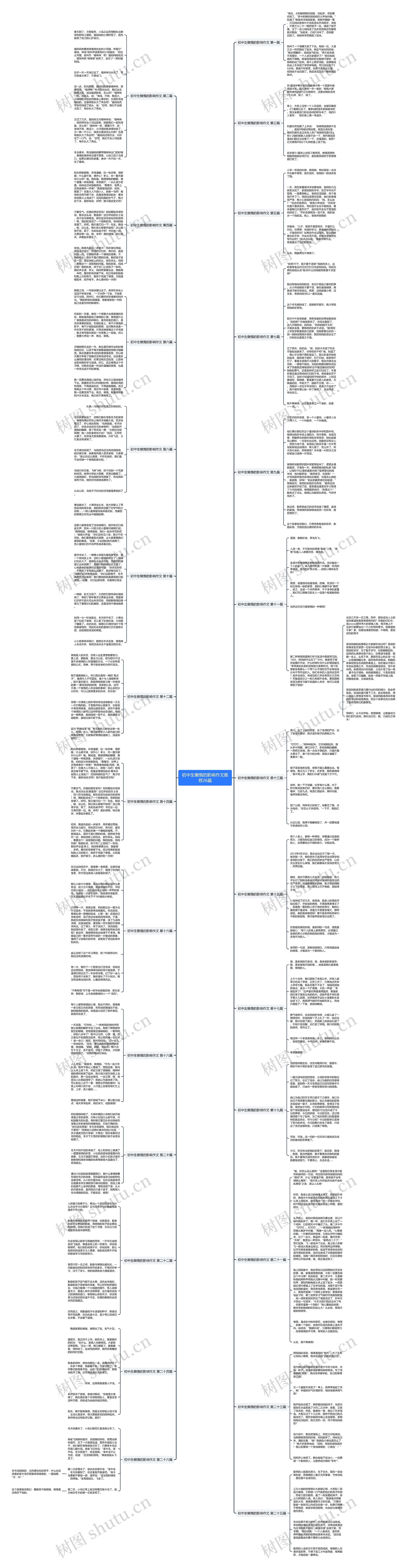 初中生懒惰的影响作文推荐26篇思维导图