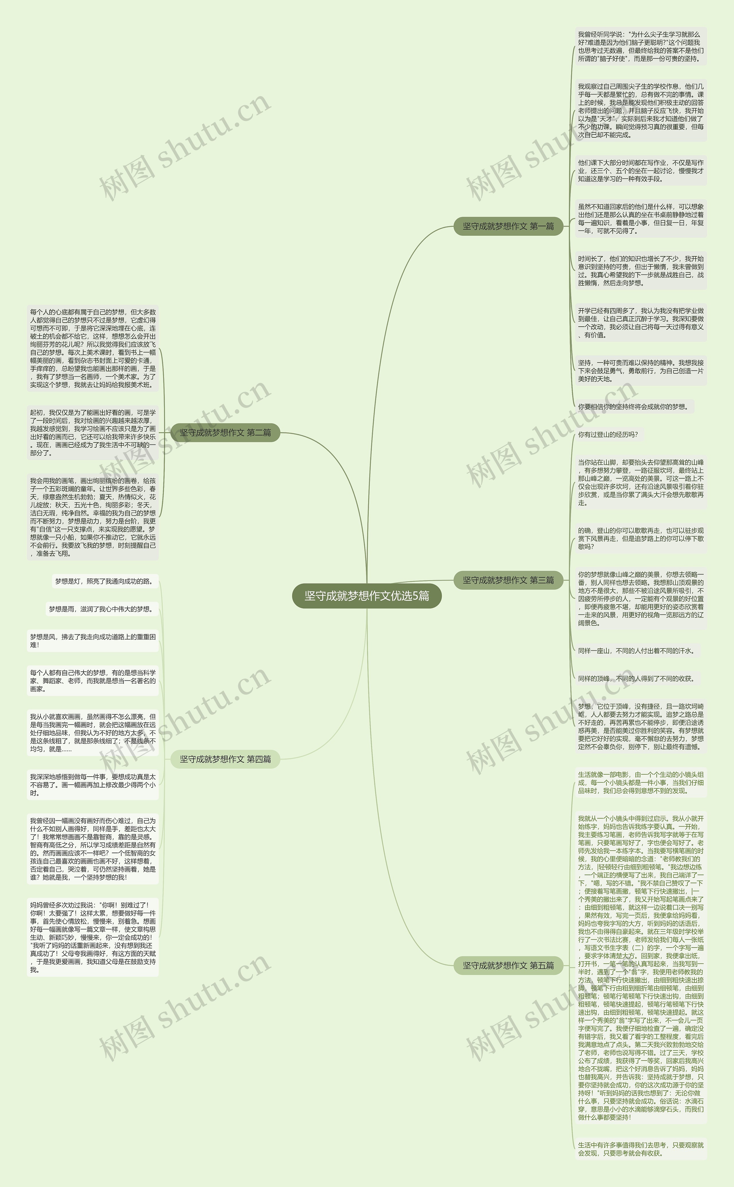 坚守成就梦想作文优选5篇思维导图