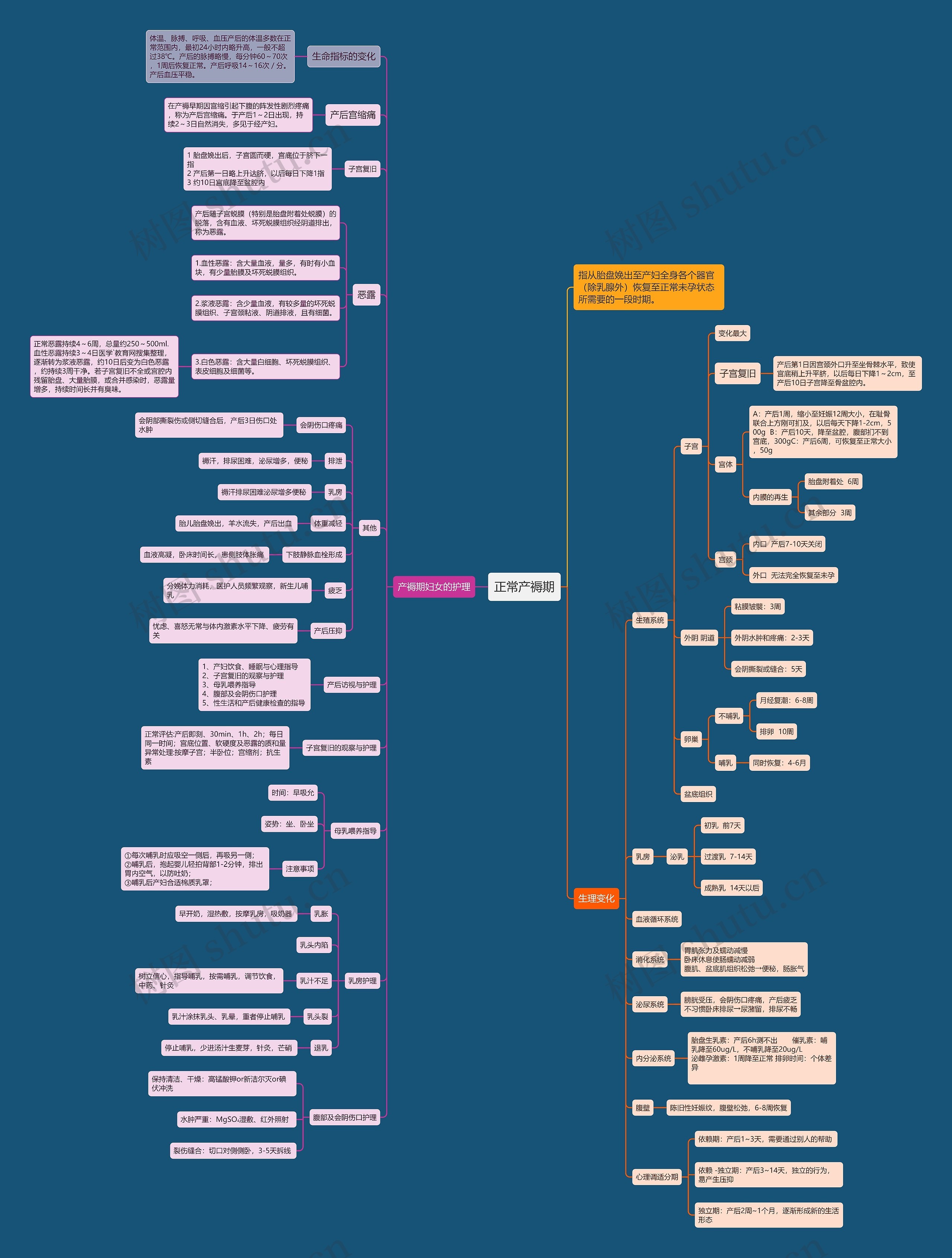 正常产褥期思维导图高清图 正常产褥期思维导图