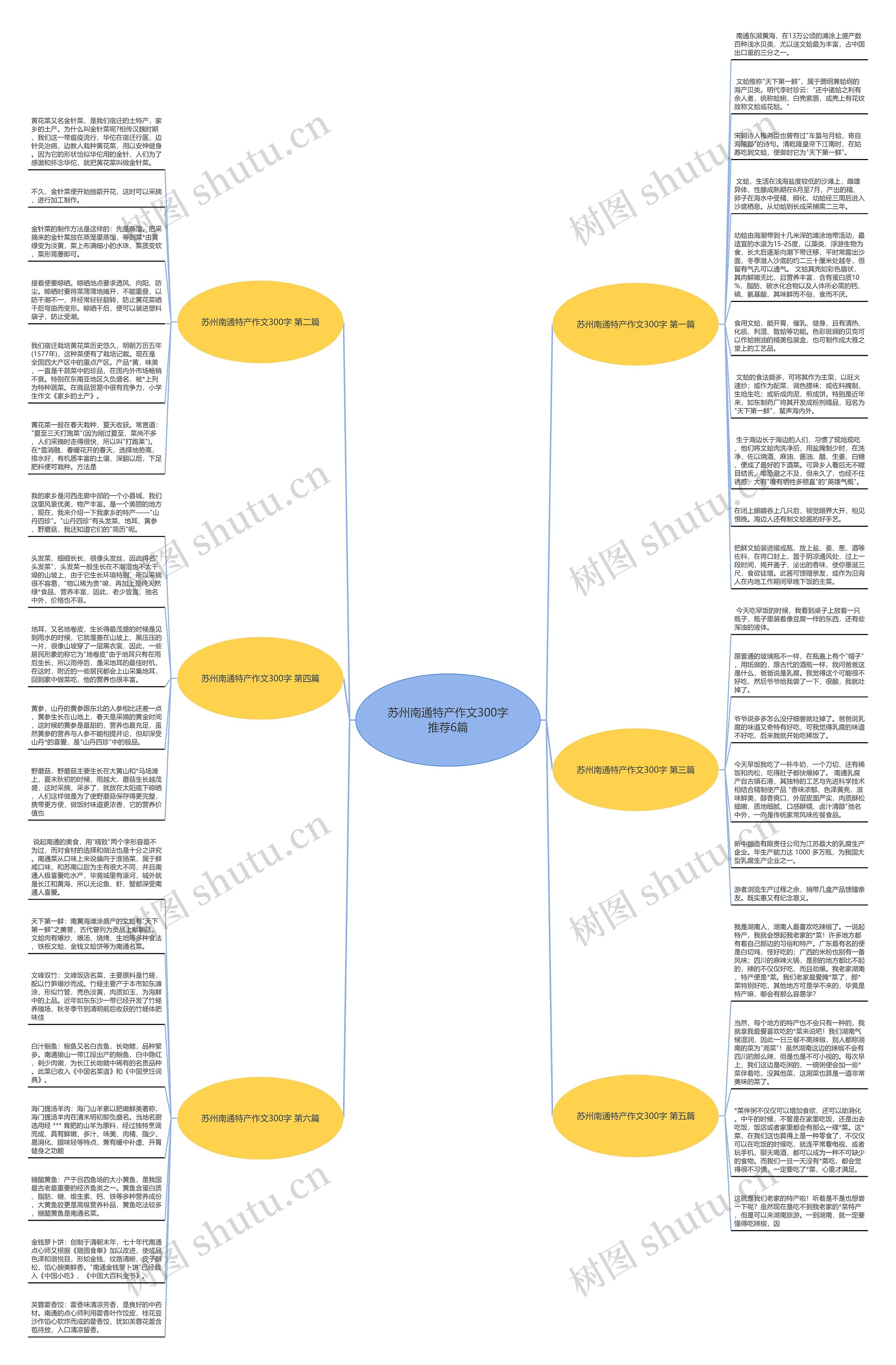 苏州南通特产作文300字推荐6篇思维导图