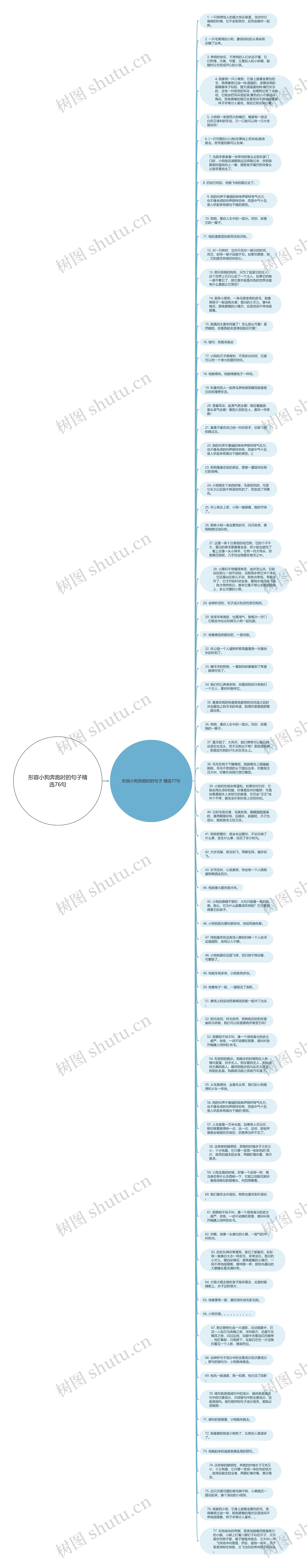 形容小狗奔跑时的句子精选76句