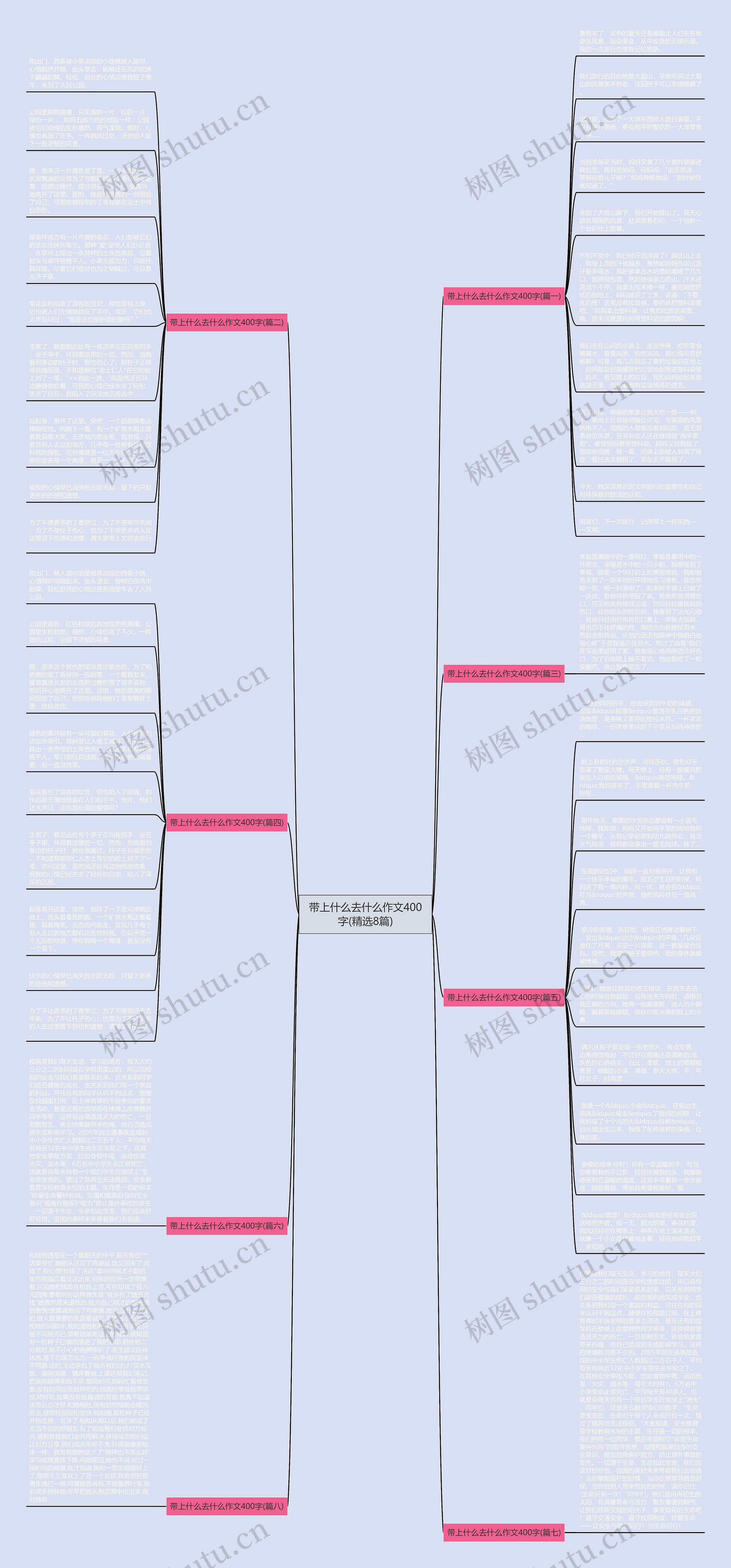 带上什么去什么作文400字(精选8篇)思维导图
