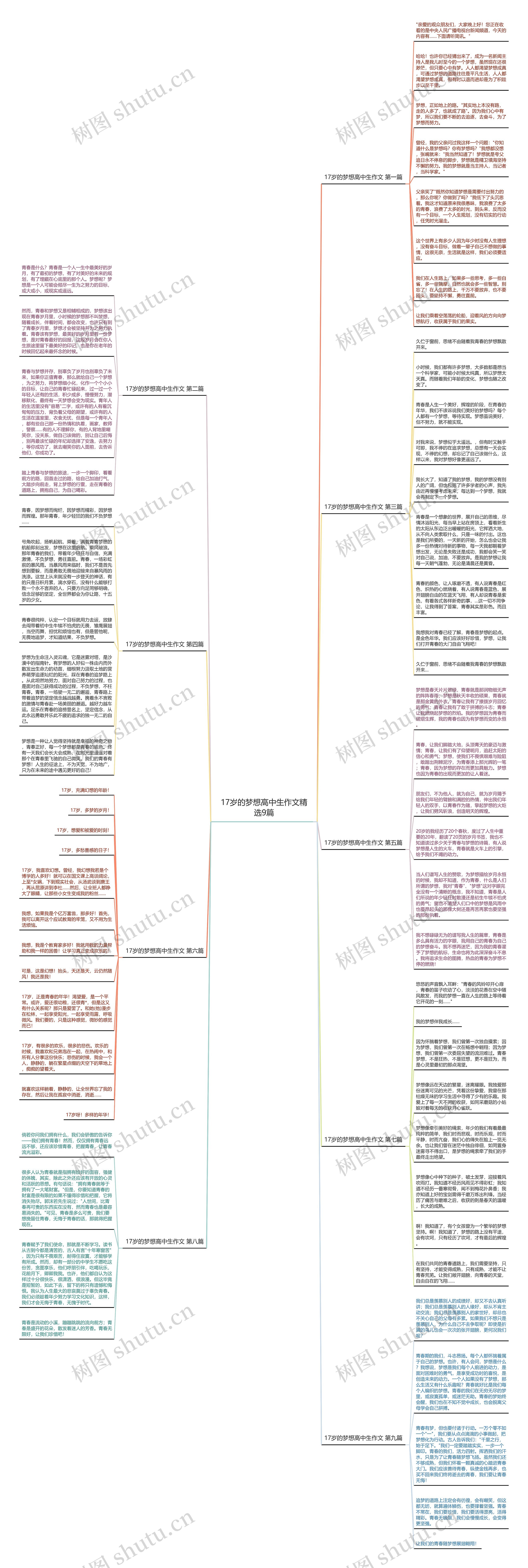 17岁的梦想高中生作文精选9篇思维导图