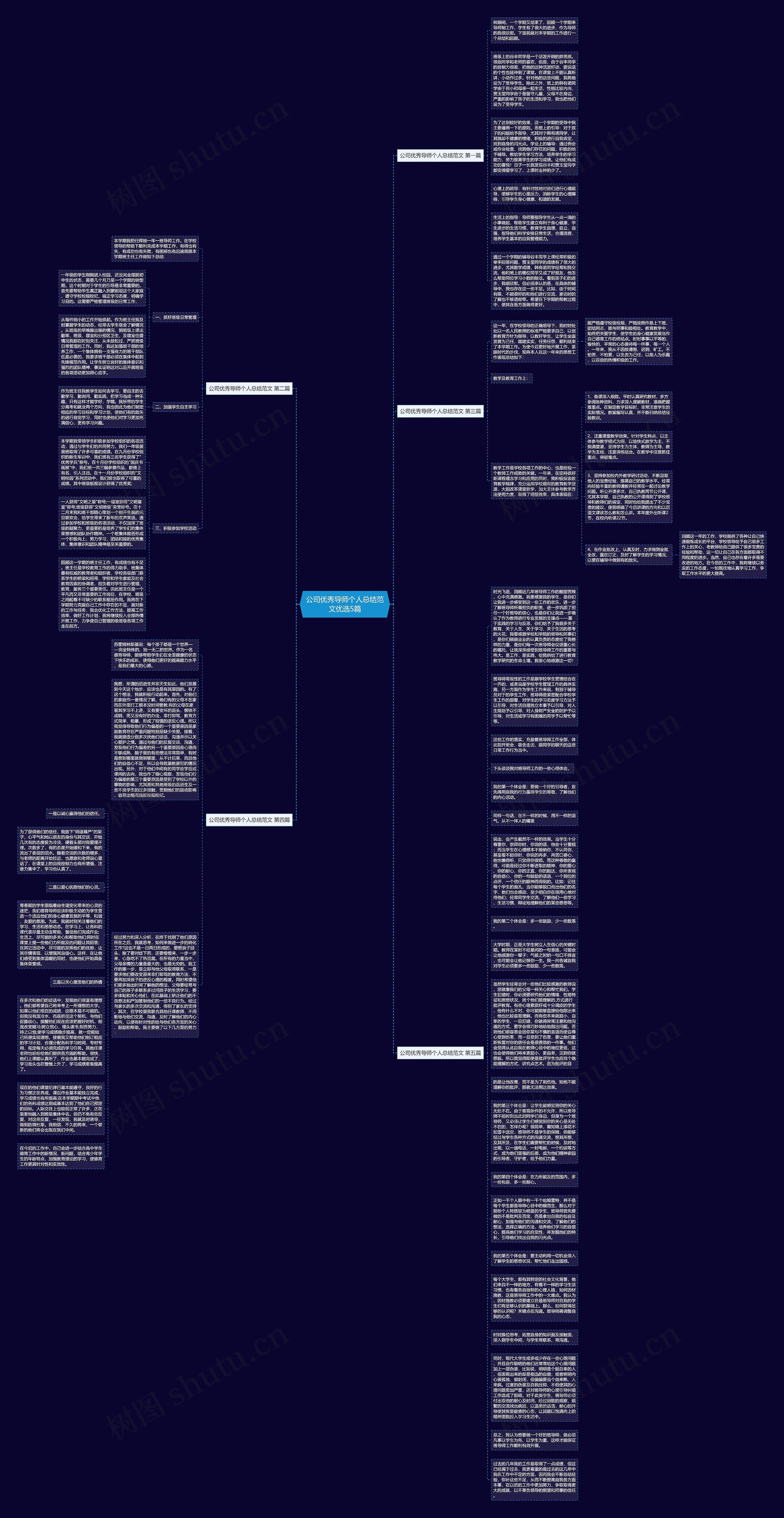 公司优秀导师个人总结范文优选5篇思维导图