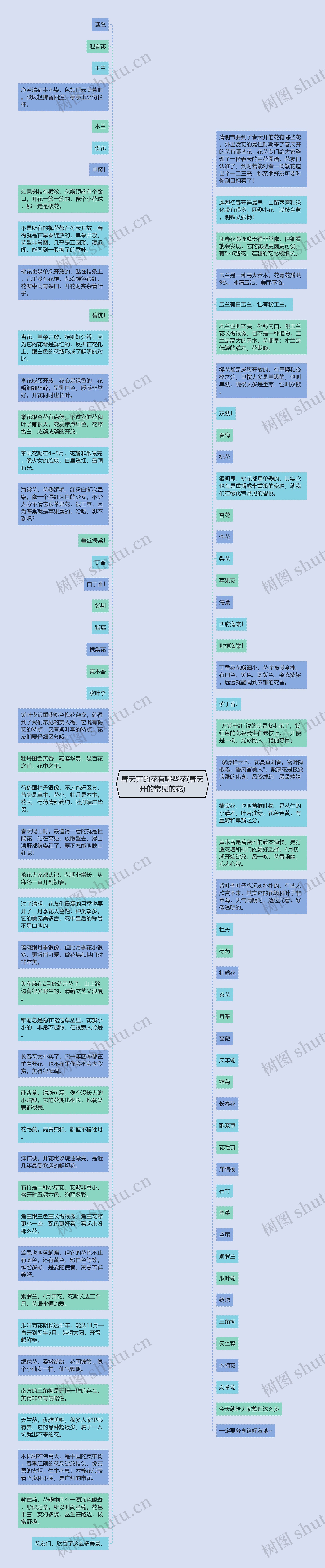 春天开的花有哪些花(春天开的常见的花)思维导图