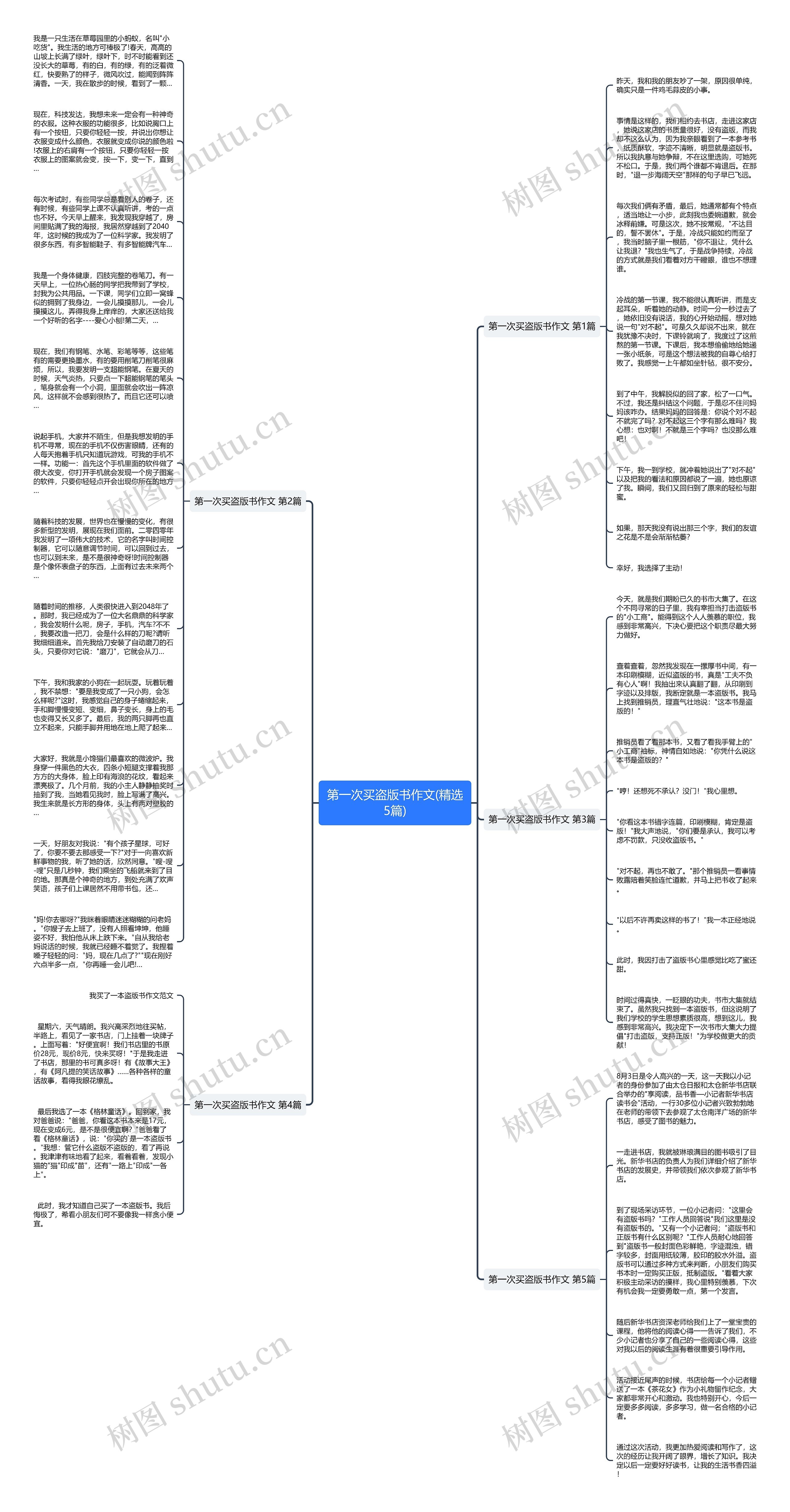 第一次买盗版书作文(精选5篇)思维导图
