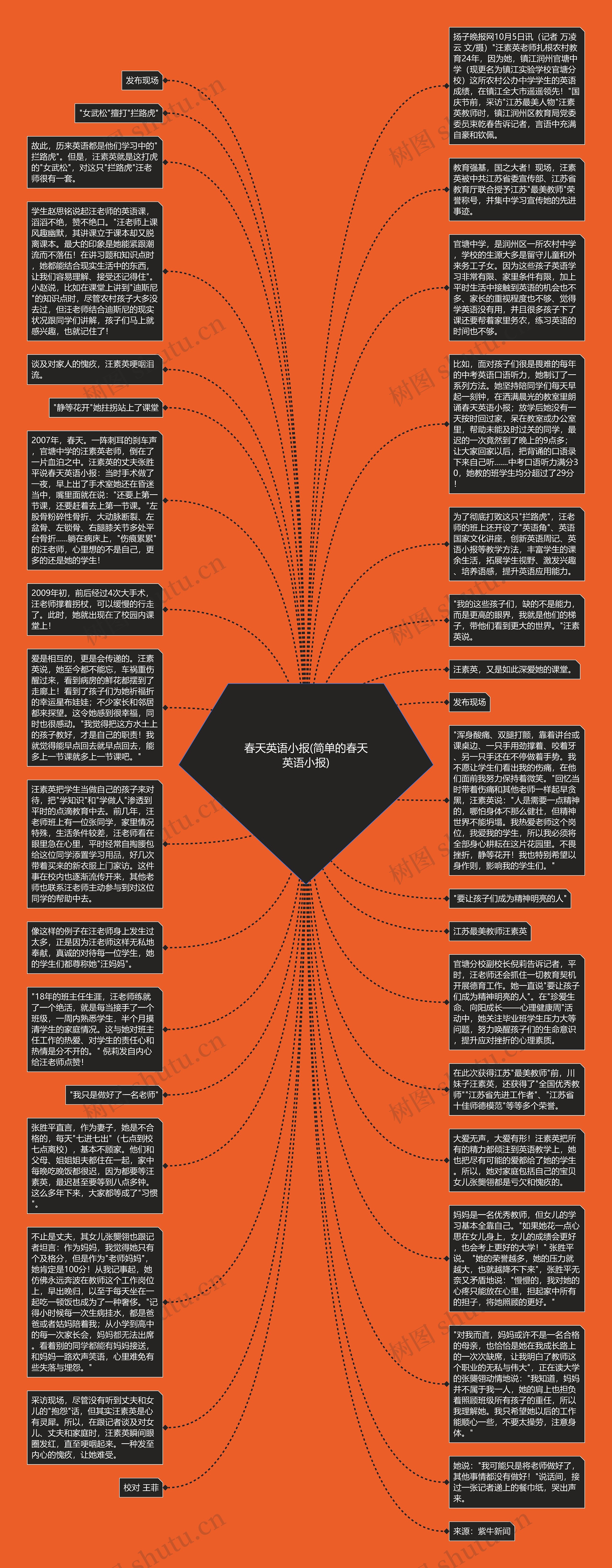 春天英语小报(简单的春天英语小报)思维导图