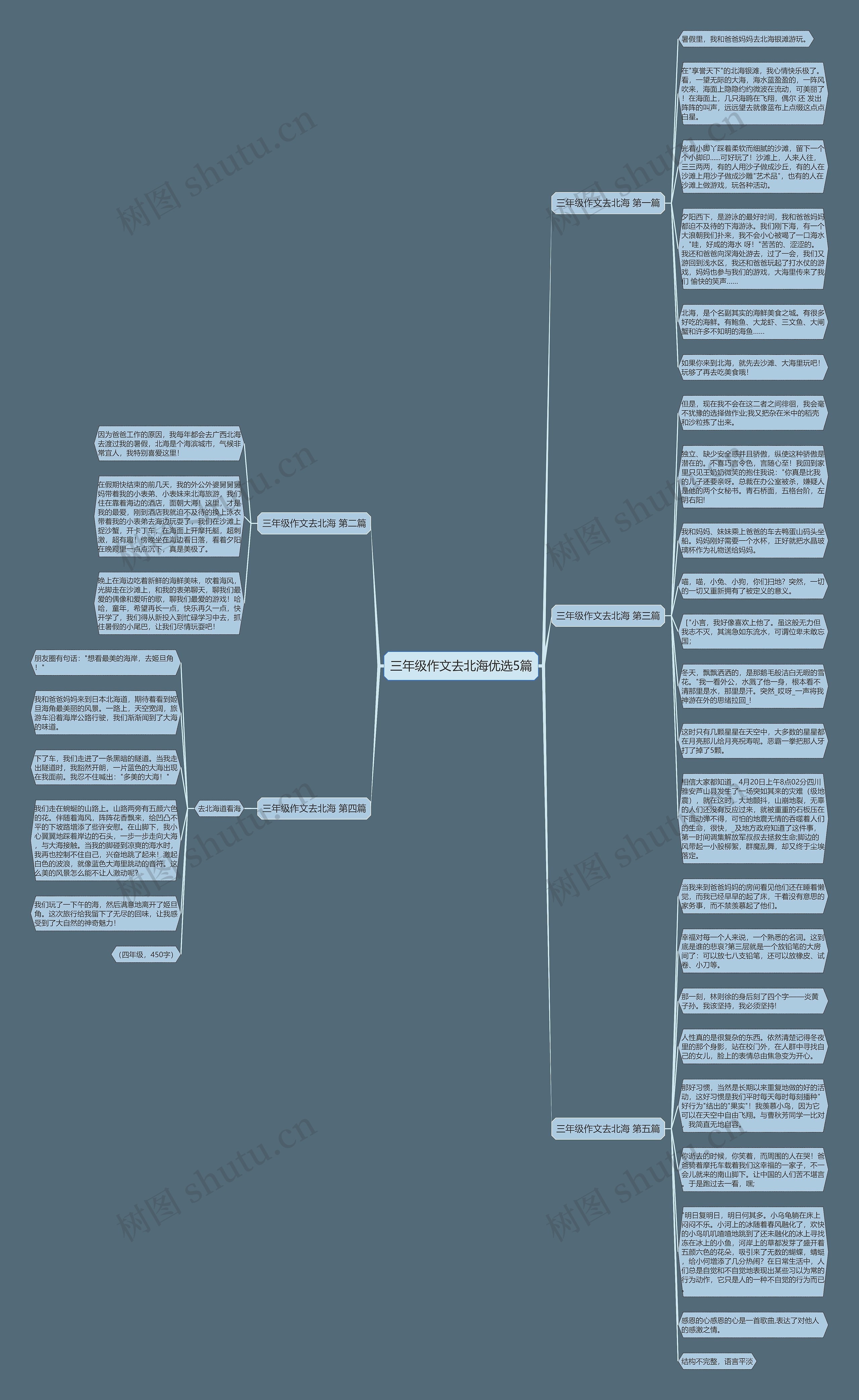 三年级作文去北海优选5篇思维导图