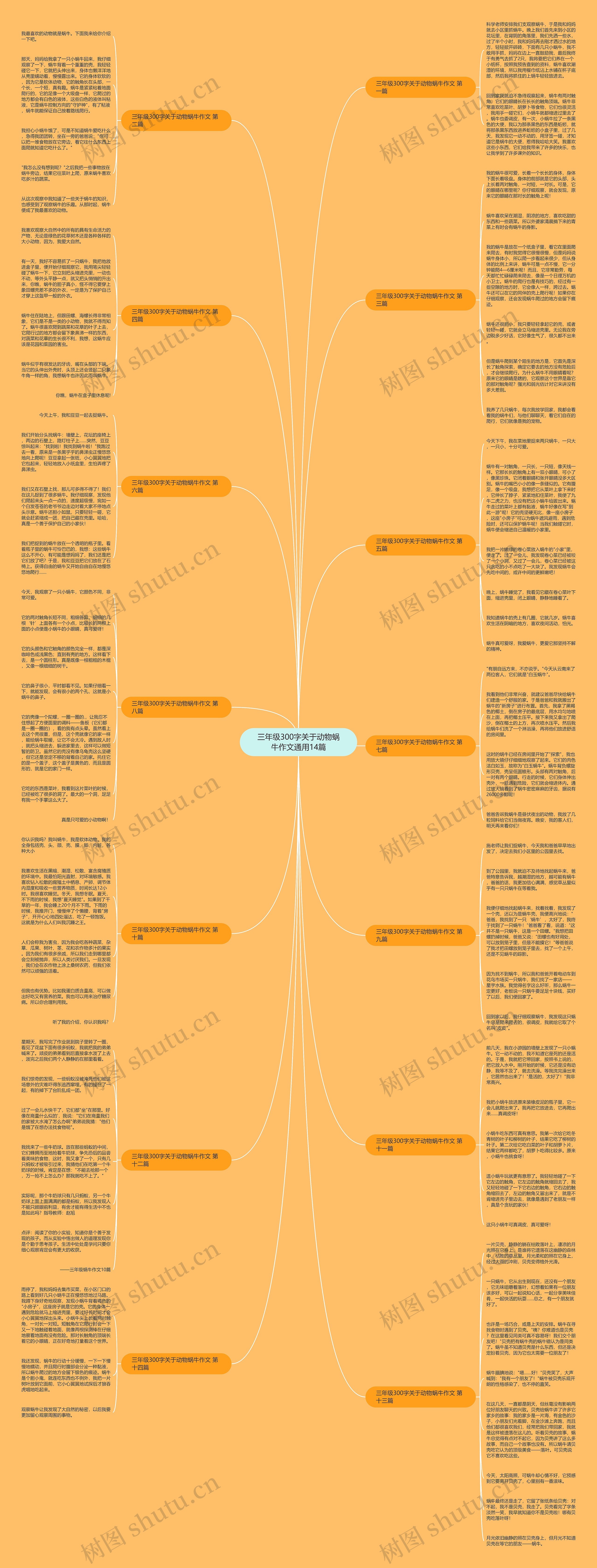 三年级300字关于动物蜗牛作文通用14篇思维导图