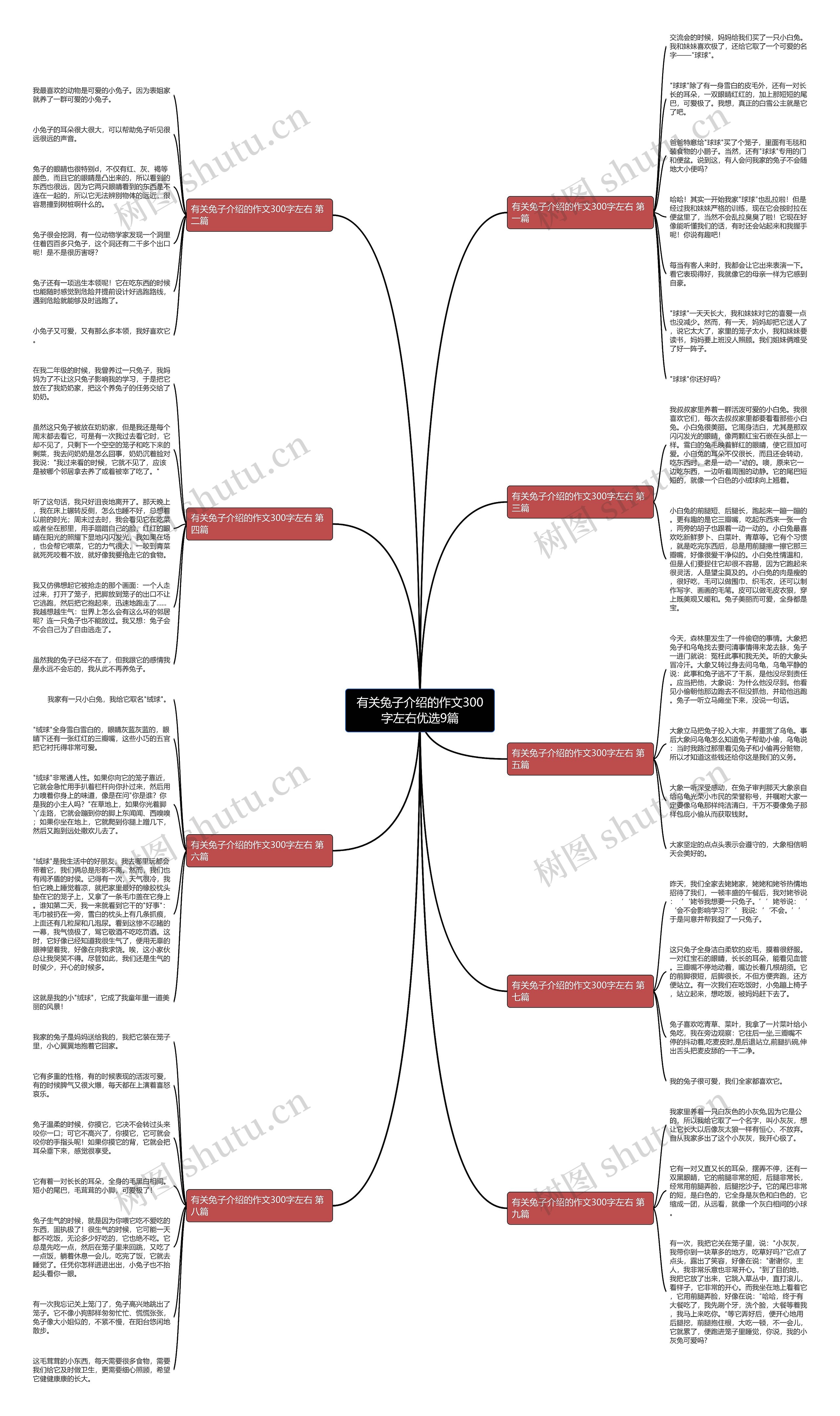 有关兔子介绍的作文300字左右优选9篇思维导图