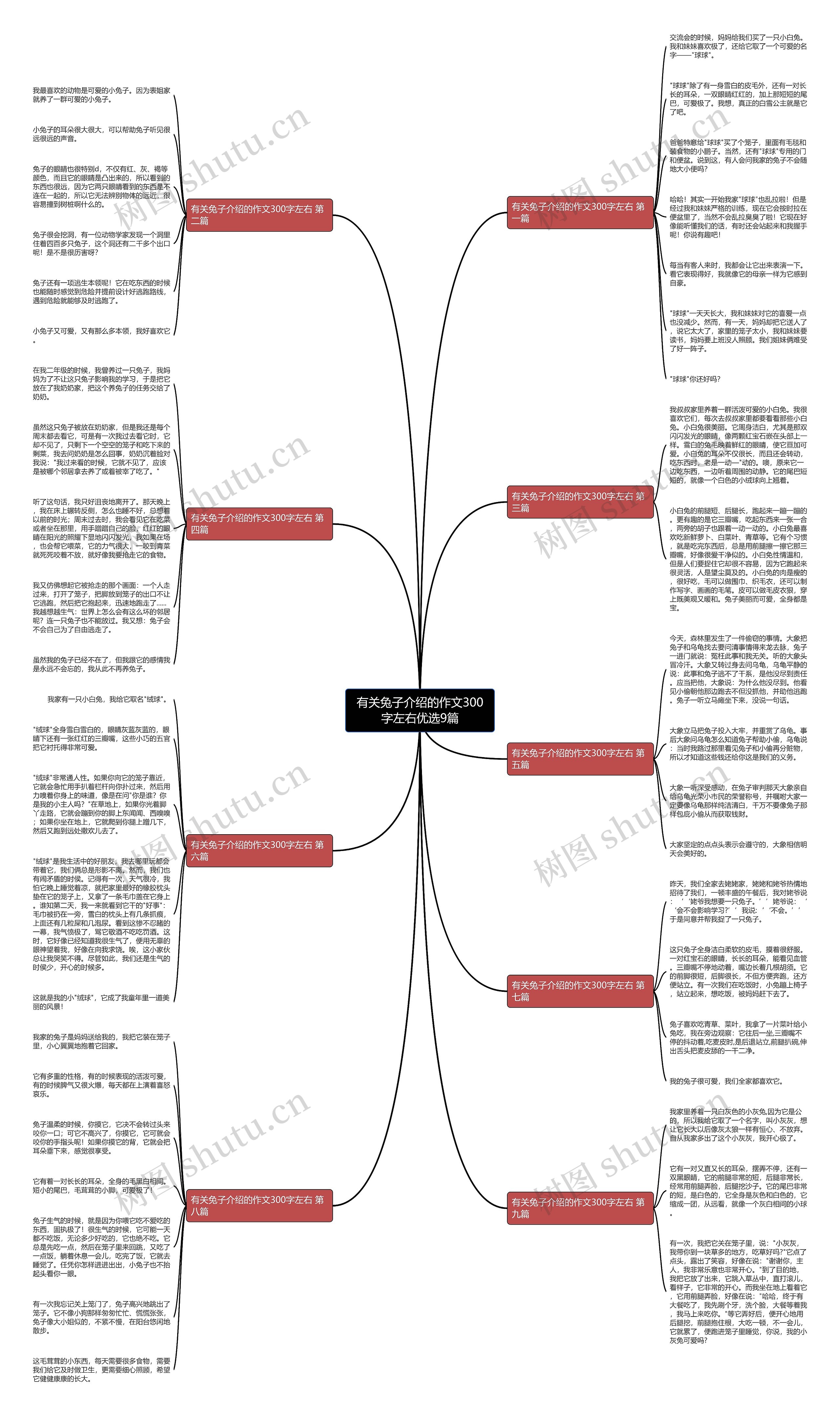 有关兔子介绍的作文300字左右优选9篇 有关兔子介绍的作文300字左右优选9篇