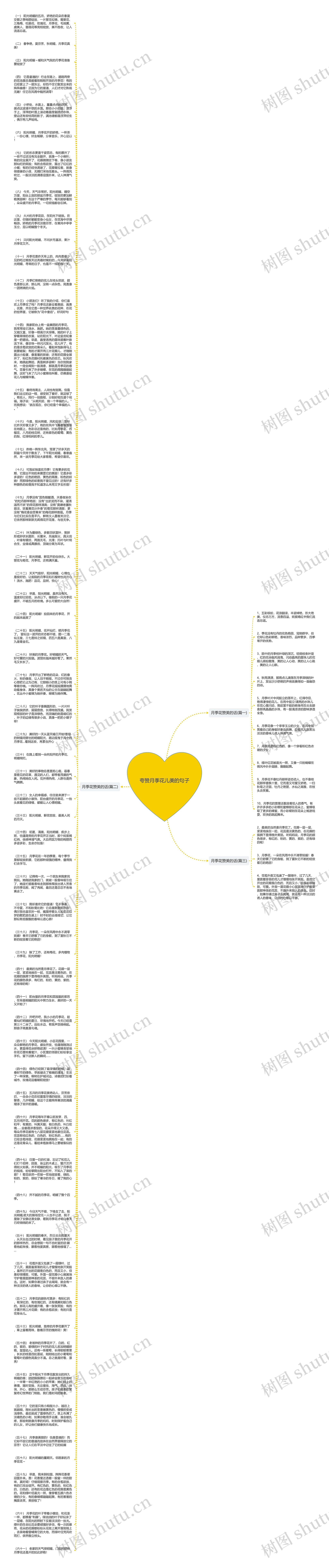 夸赞月季花儿美的句子思维导图