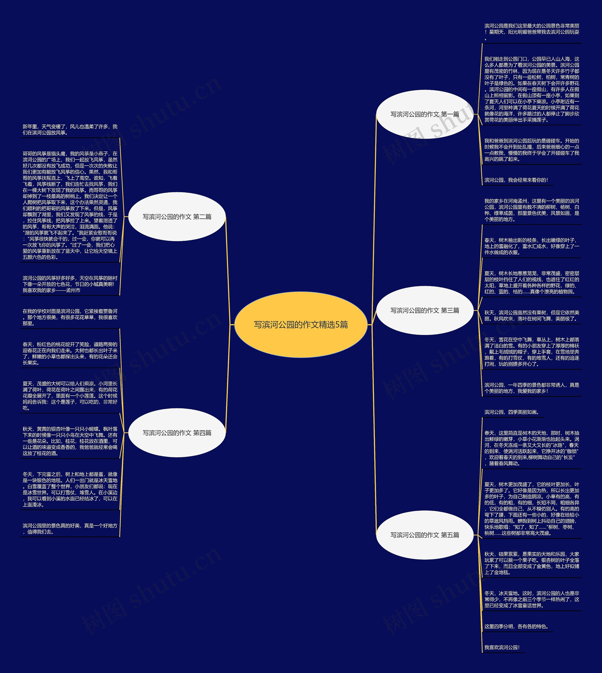 写滨河公园的作文精选5篇思维导图
