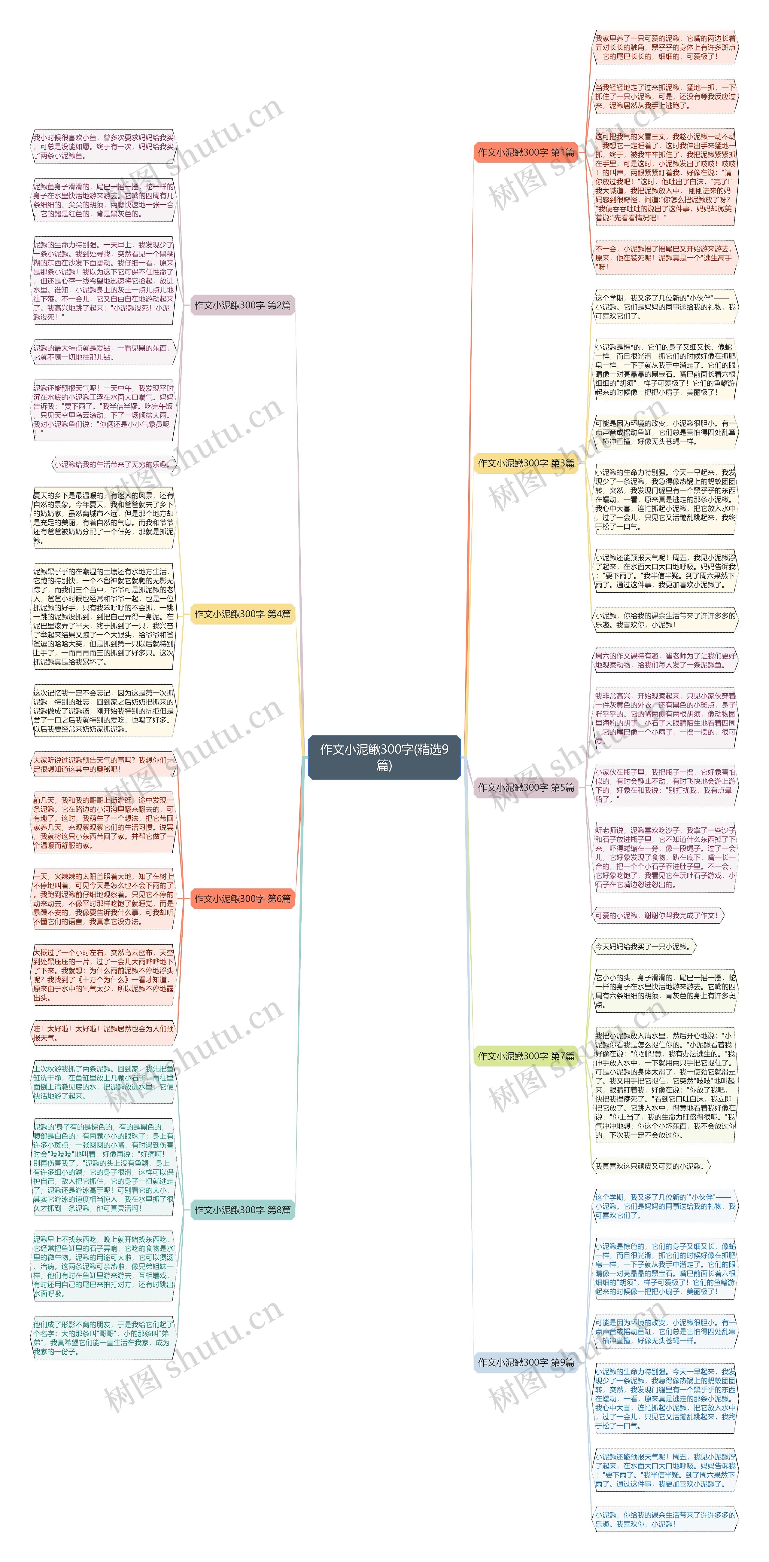 作文小泥鳅300字(精选9篇)思维导图