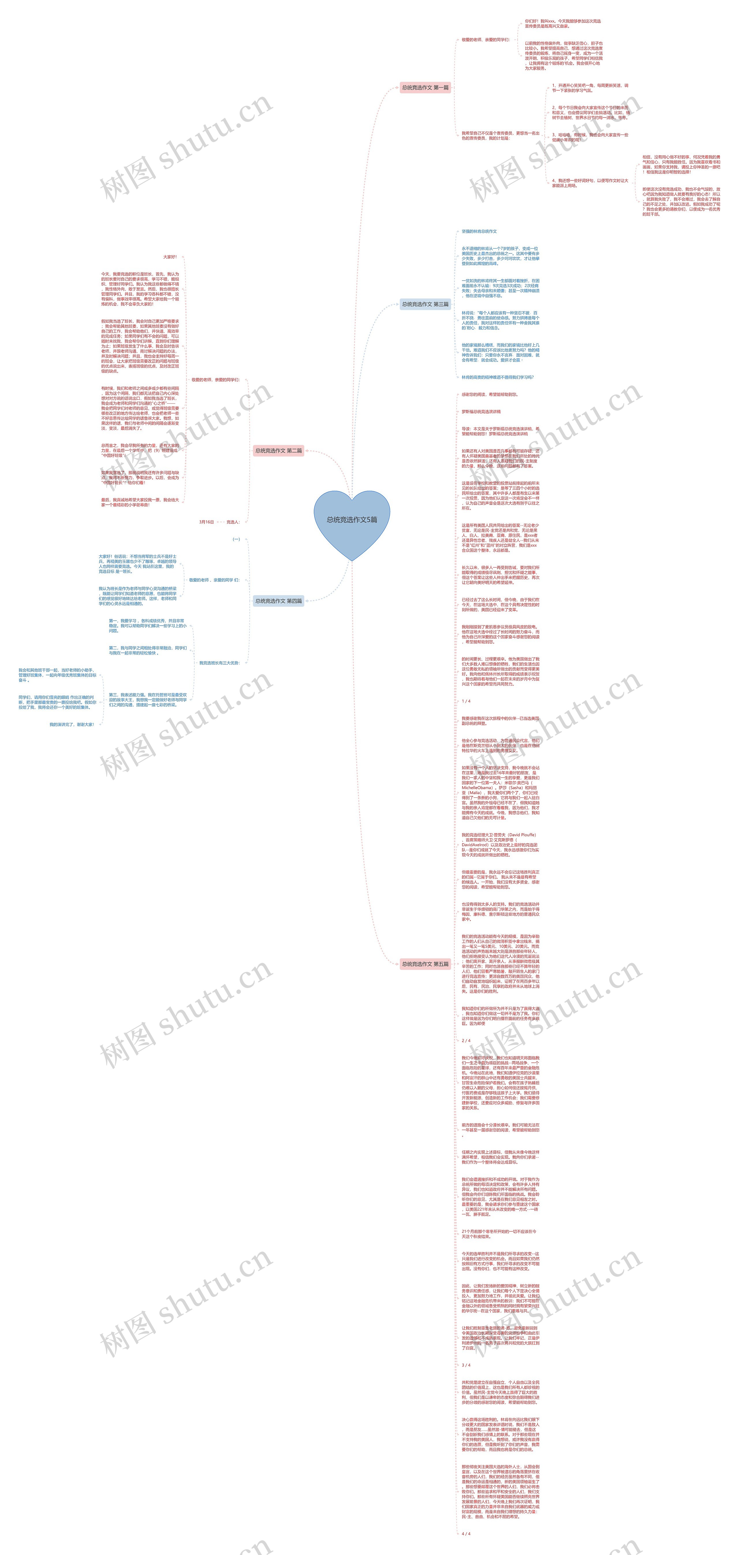 总统竞选作文5篇思维导图