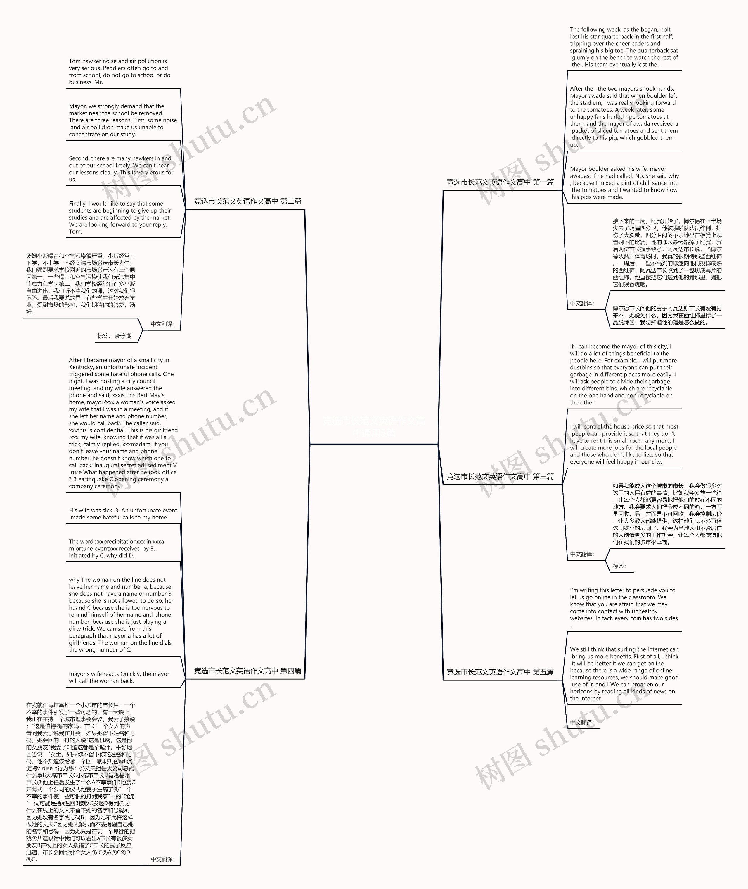 竞选市长范文英语作文高中通用5篇思维导图