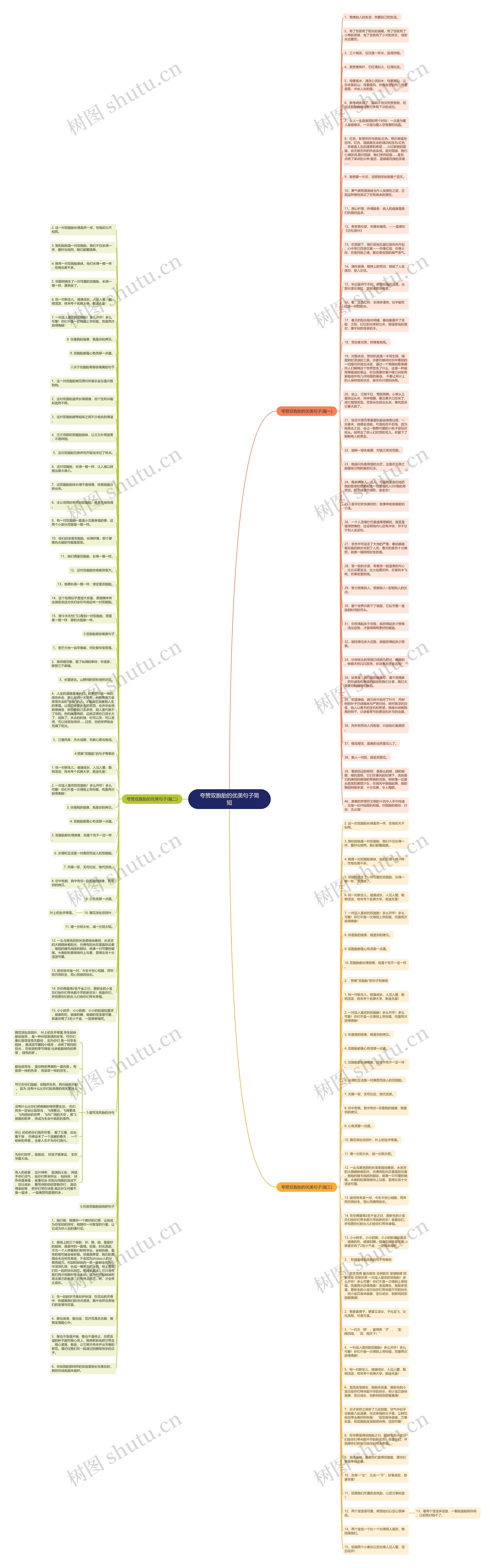 夸赞双胞胎的优美句子简短思维导图