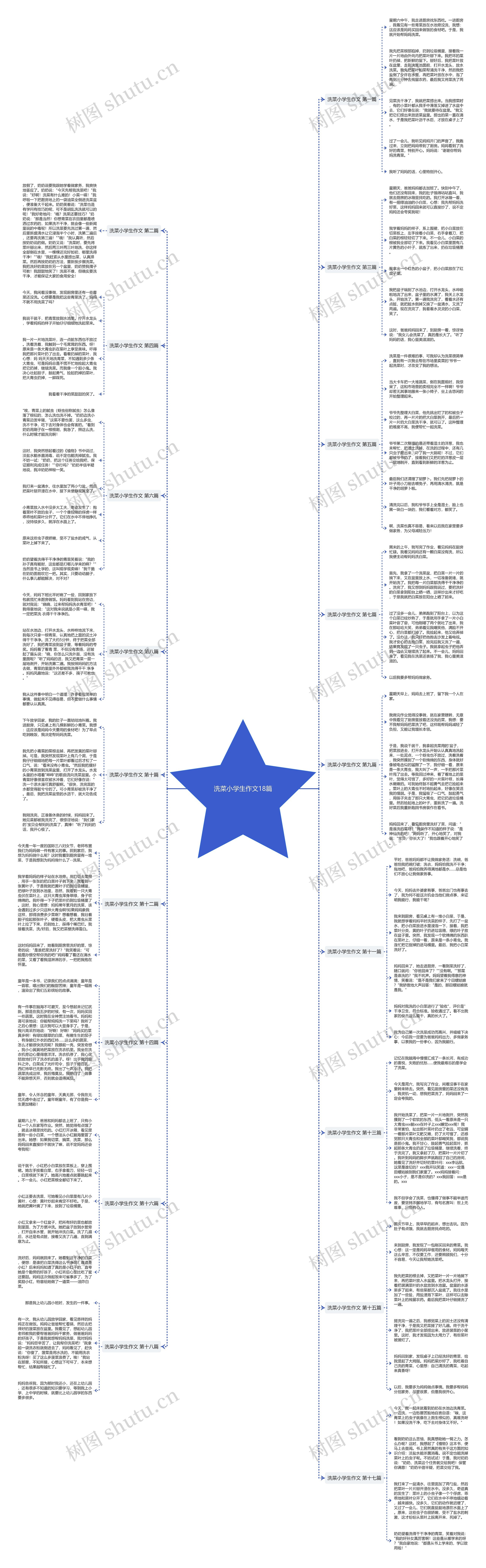 洗菜小学生作文18篇思维导图