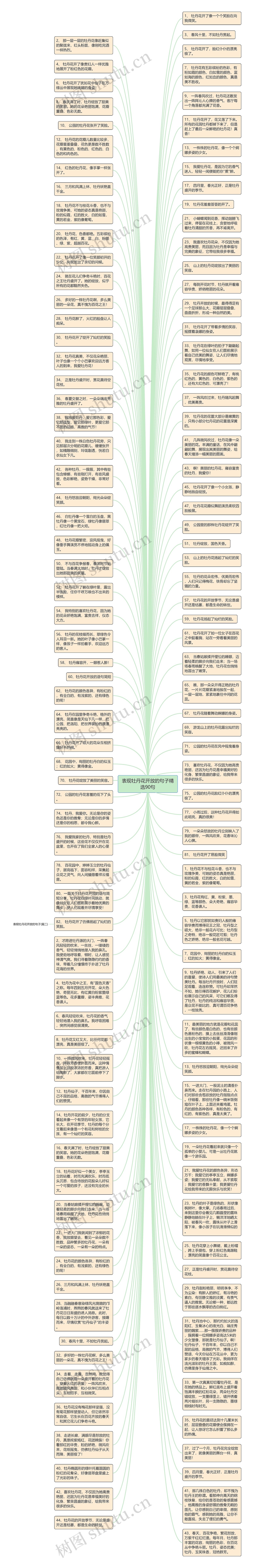 表现牡丹花开放的句子精选90句思维导图