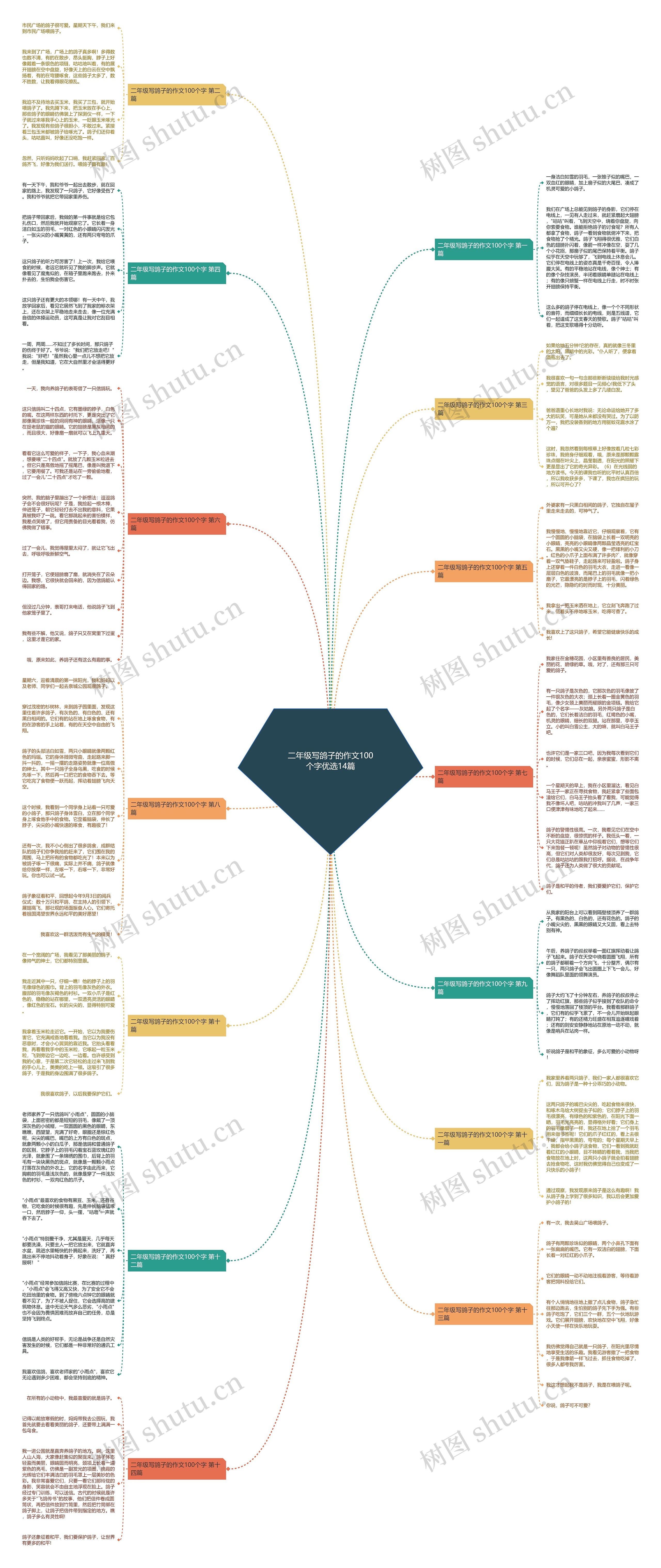二年级写鸽子的作文100个字优选14篇思维导图
