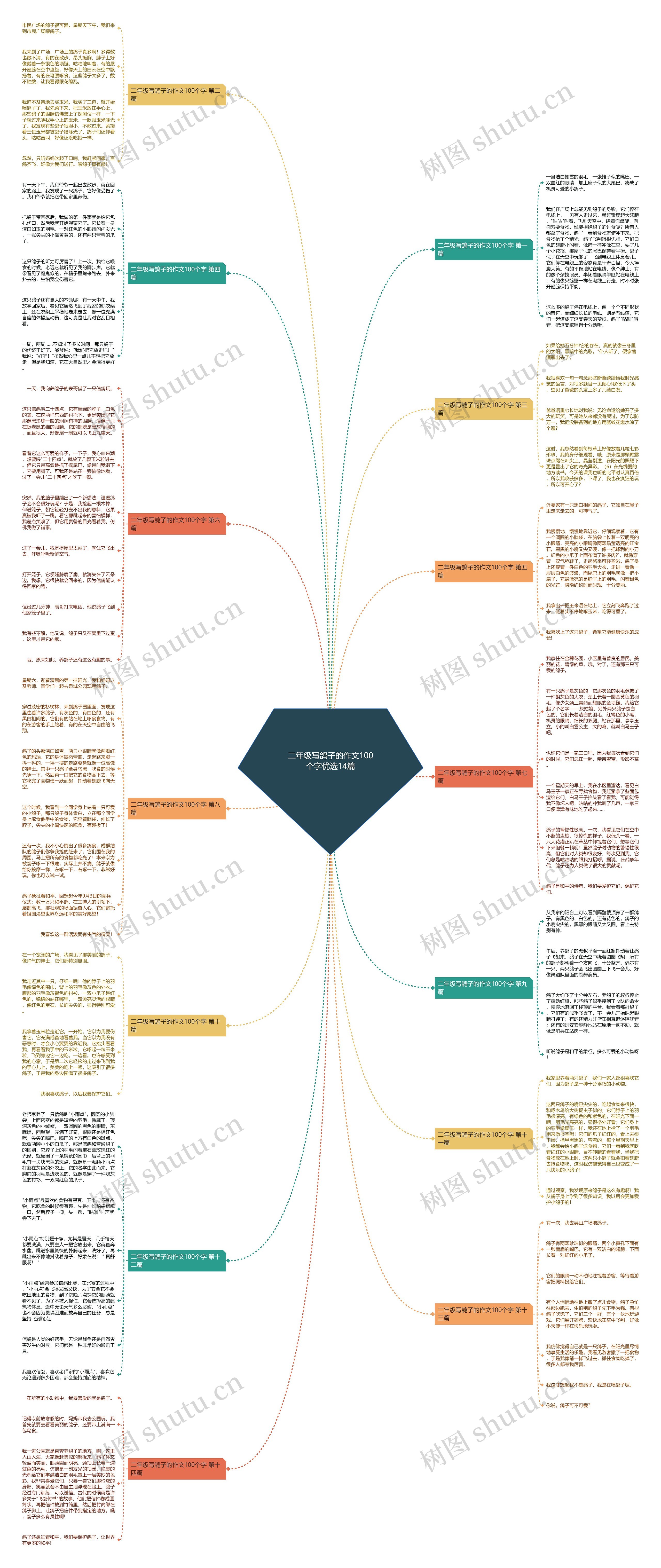 二年级写鸽子的作文100个字优选14篇 二年级写鸽子的作文100个字优选14篇