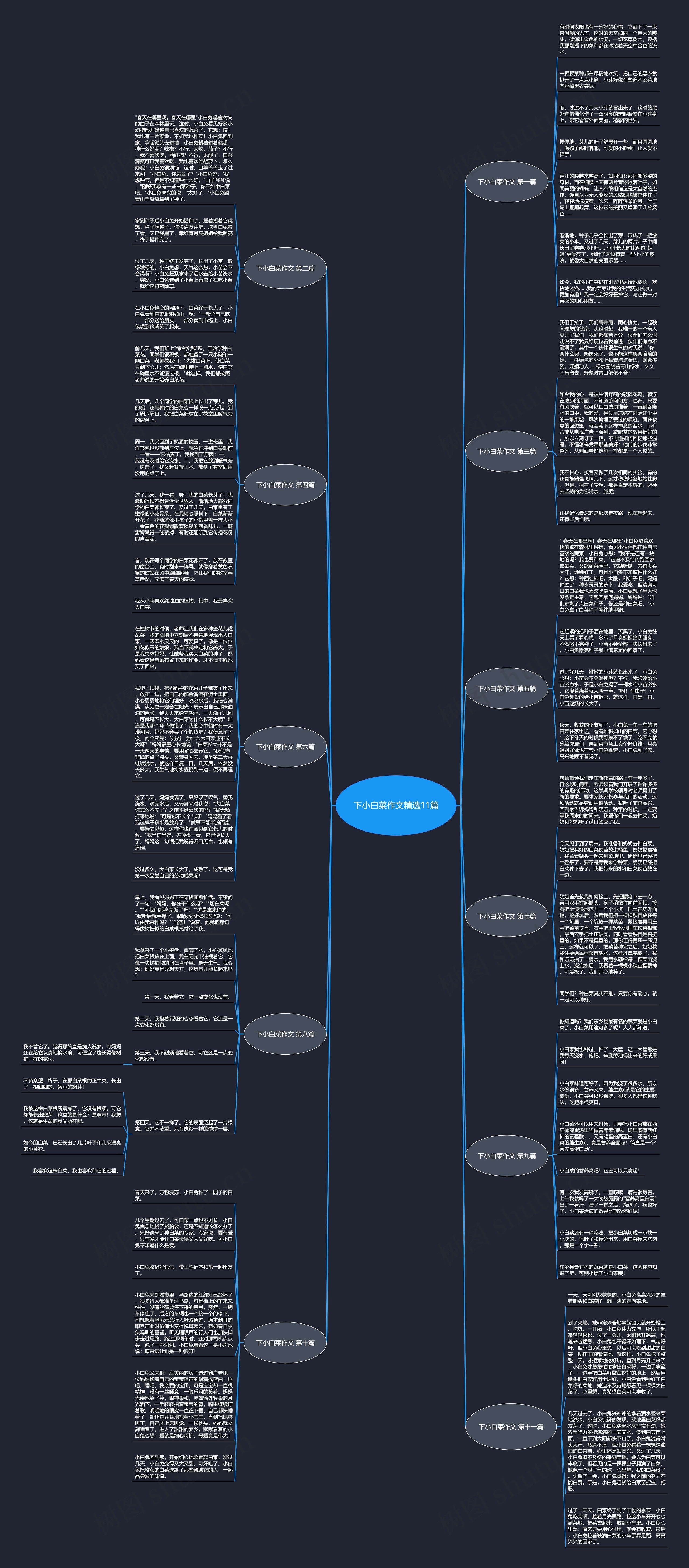 下小白菜作文精选11篇
