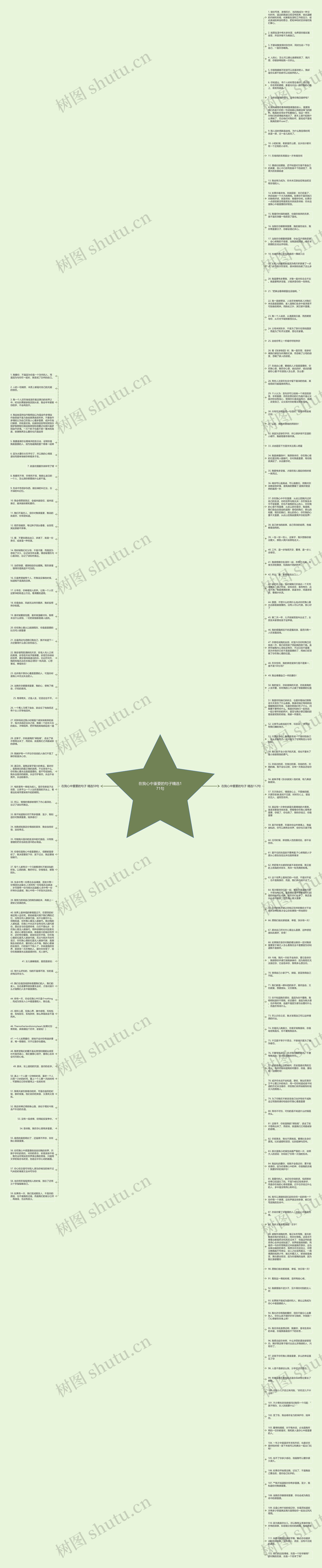 在我心中重要的句子精选171句思维导图
