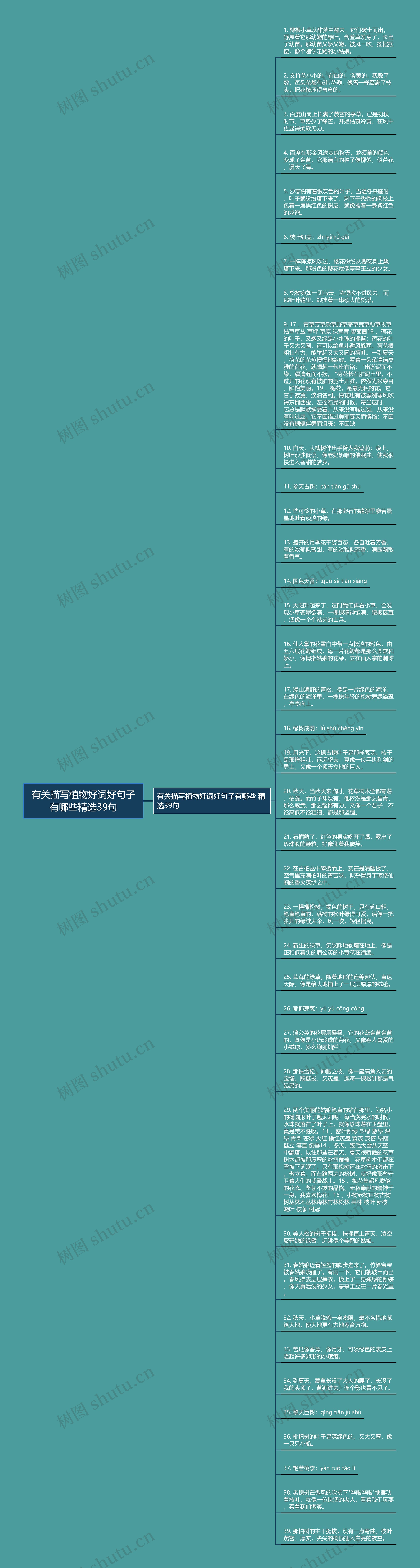 有关描写植物好词好句子有哪些精选39句思维导图