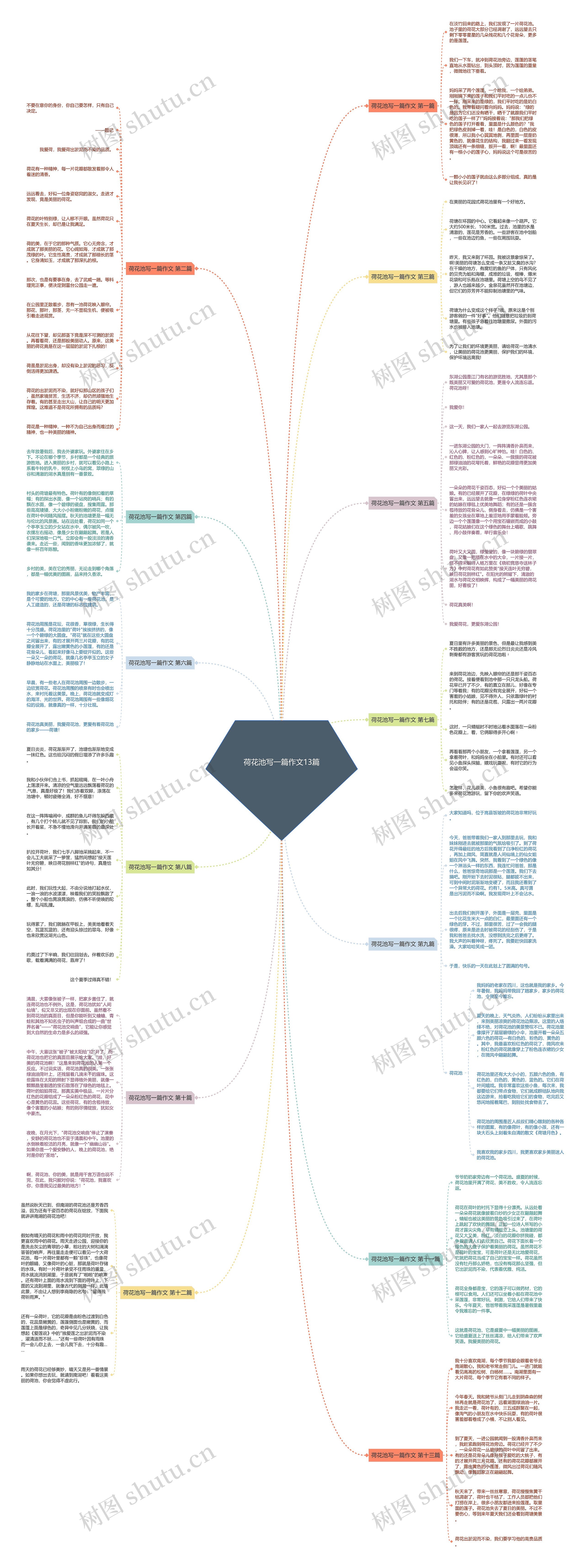 荷花池写一篇作文13篇思维导图