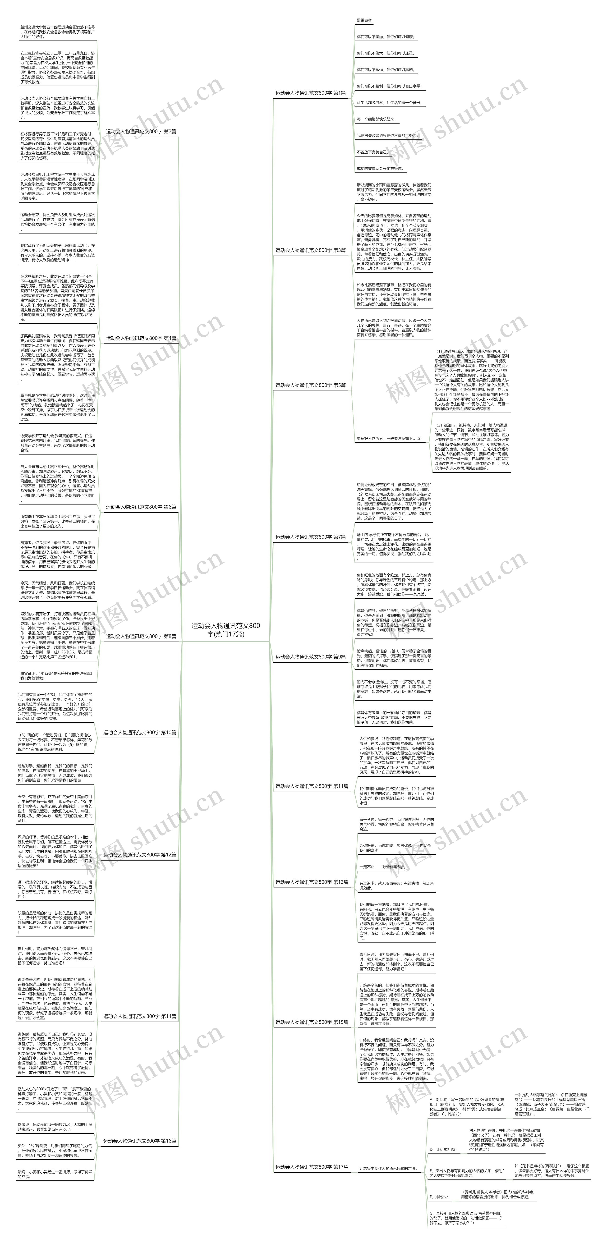 运动会人物通讯范文800字(热门17篇)思维导图