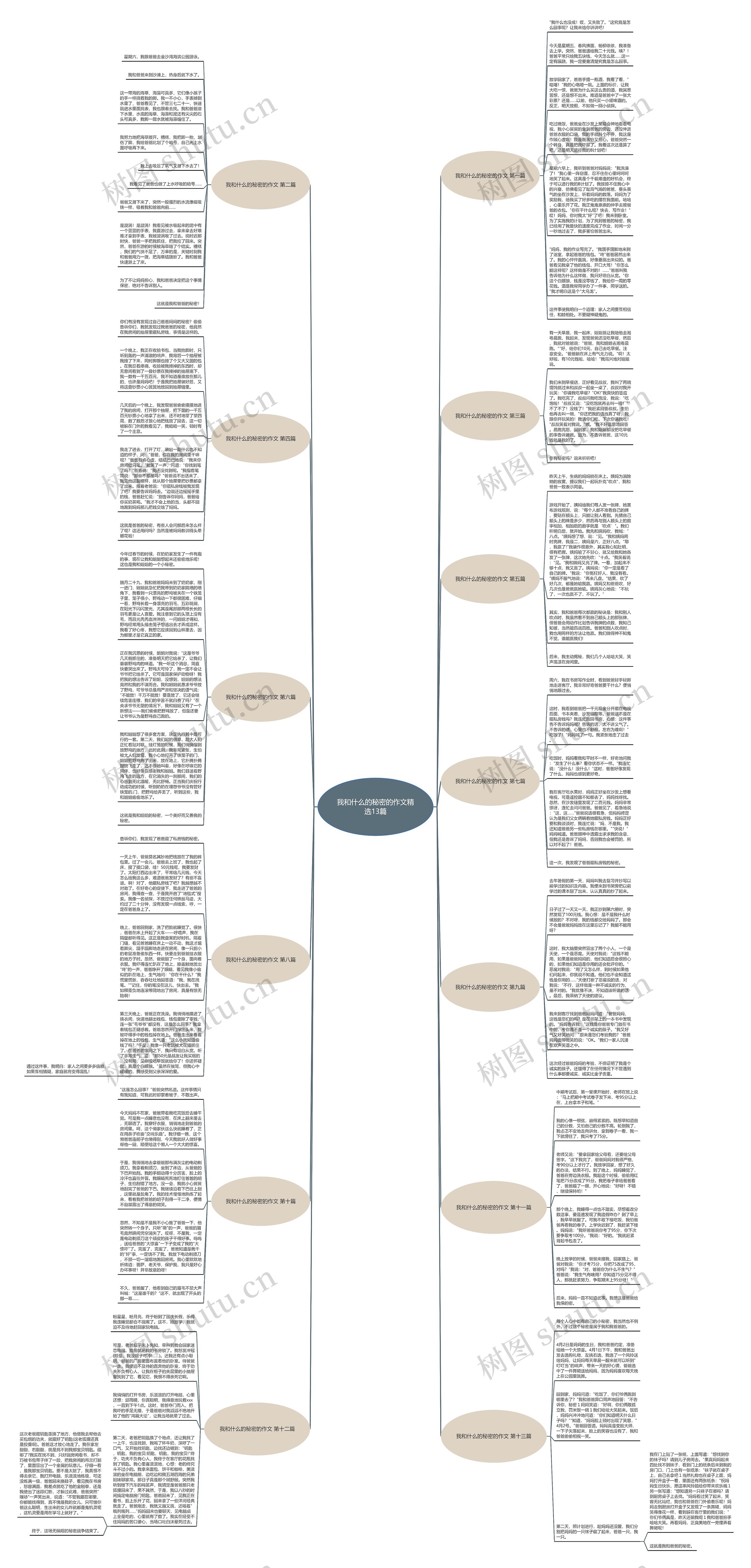我和什么的秘密的作文精选13篇思维导图