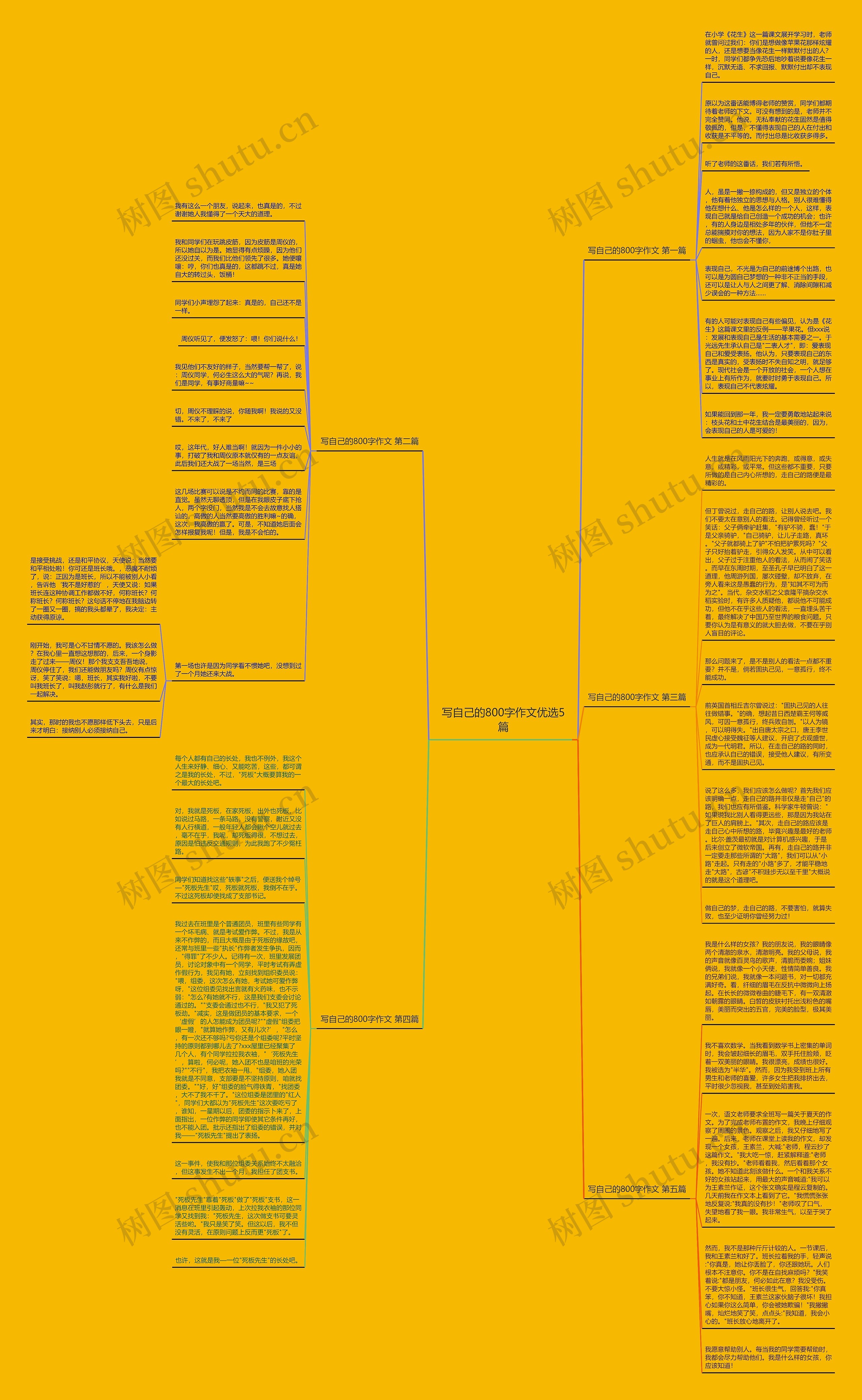 写自己的800字作文优选5篇思维导图