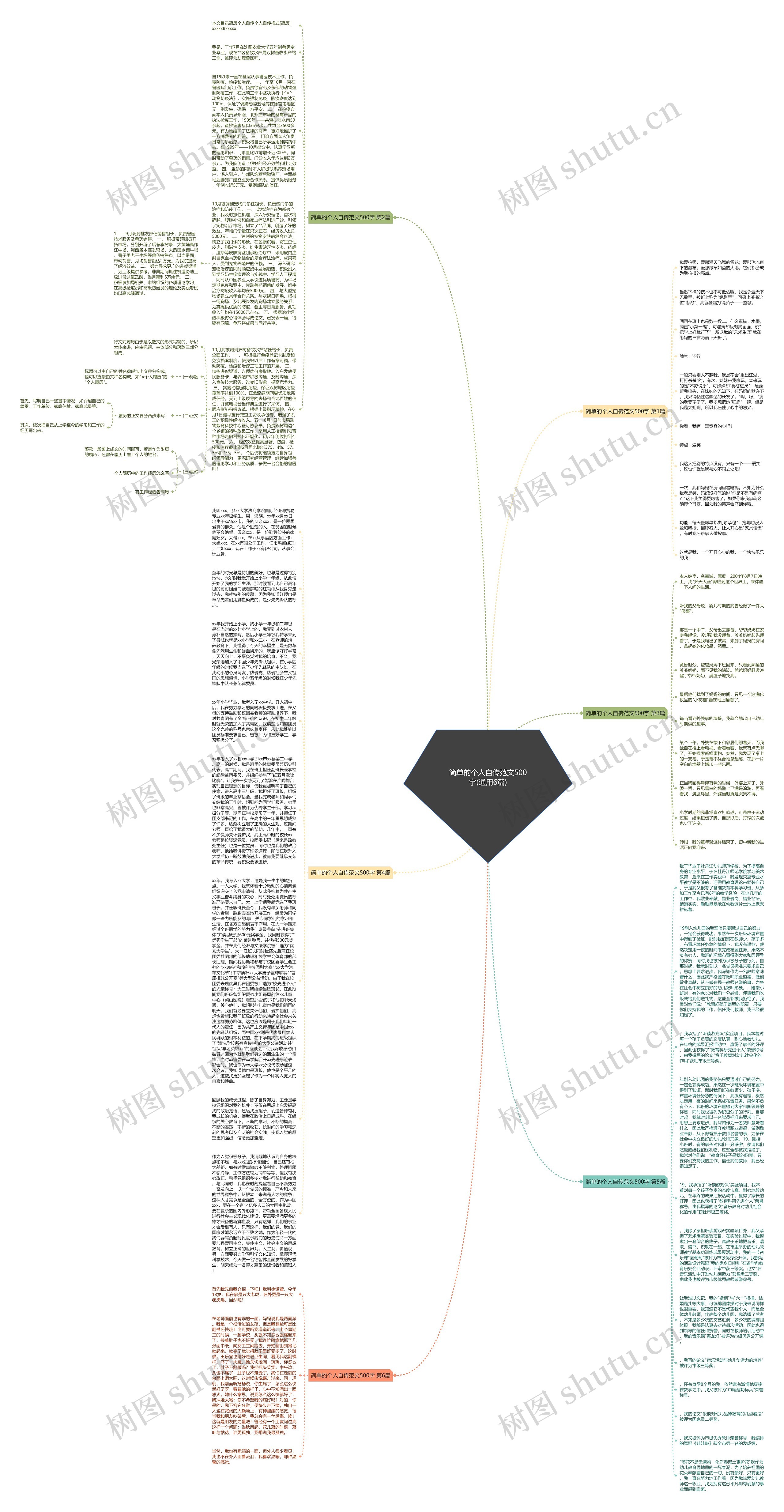 简单的个人自传范文500字(通用6篇)思维导图