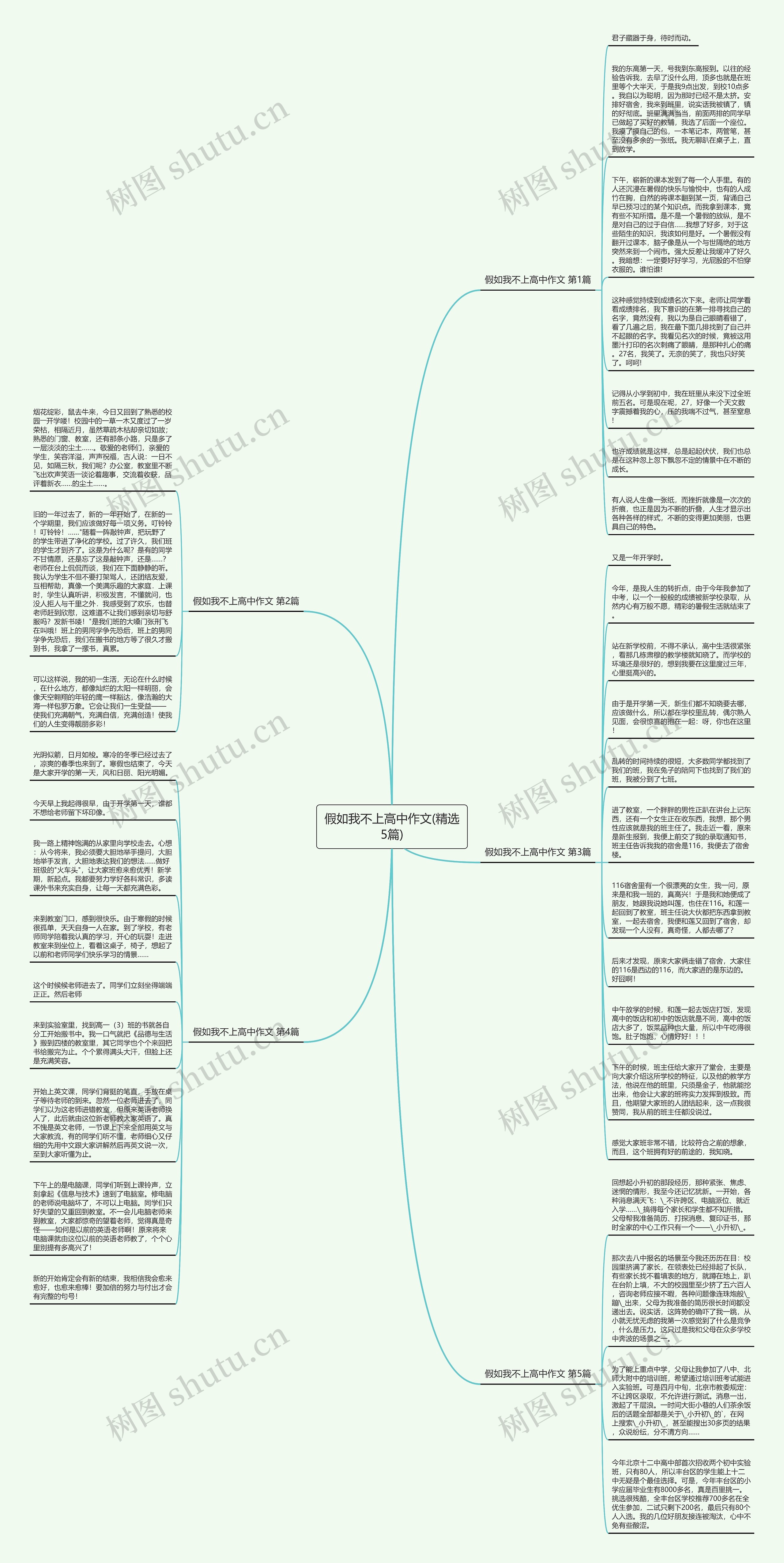 假如我不上高中作文(精选5篇)思维导图