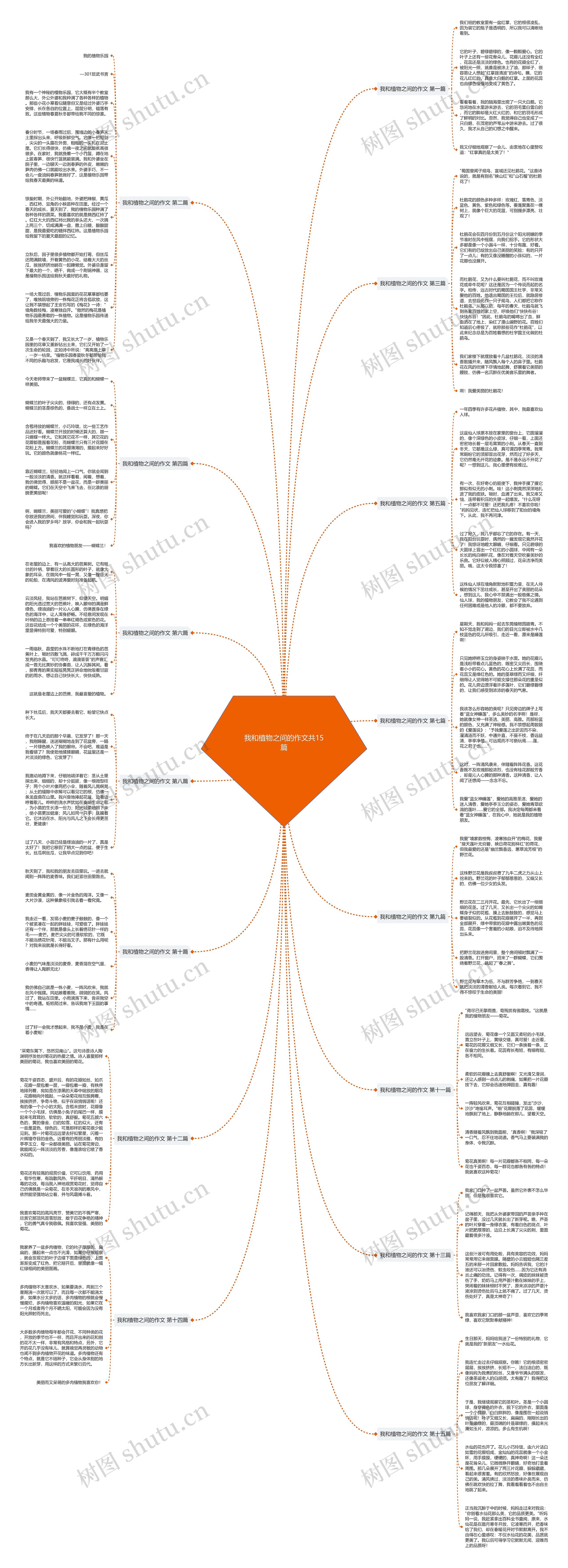 我和植物之间的作文共15篇思维导图