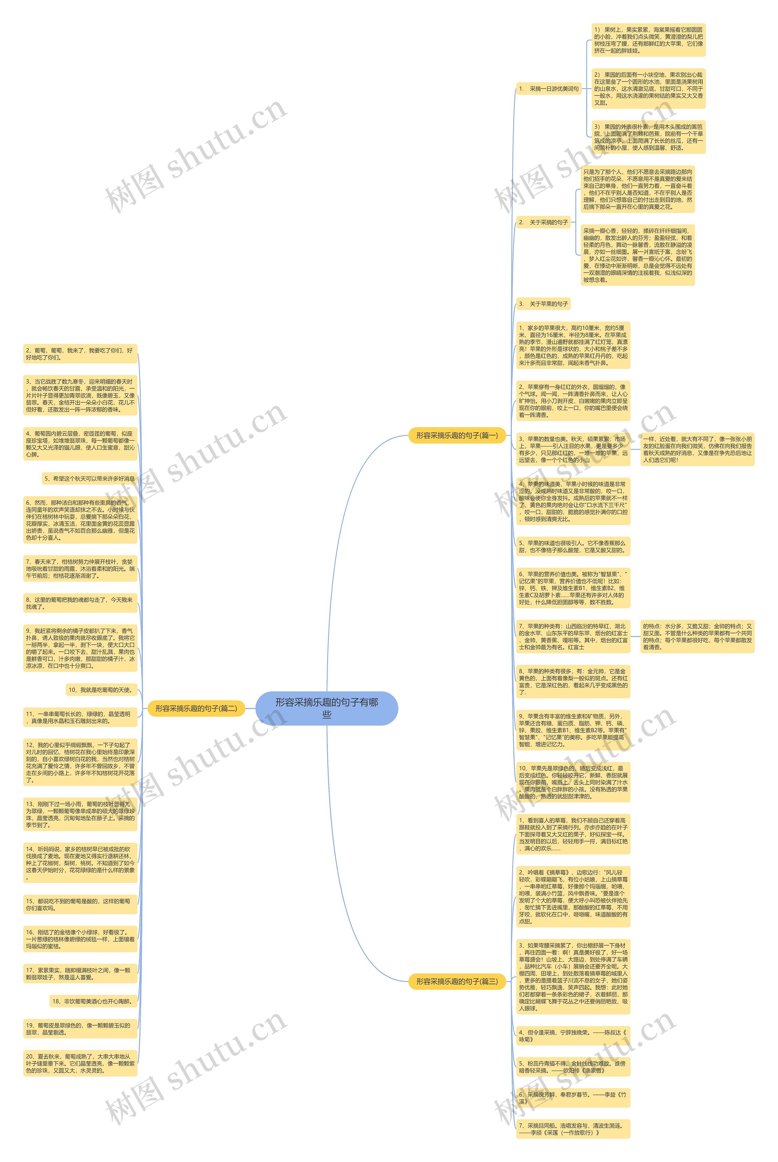 形容采摘乐趣的句子有哪些思维导图