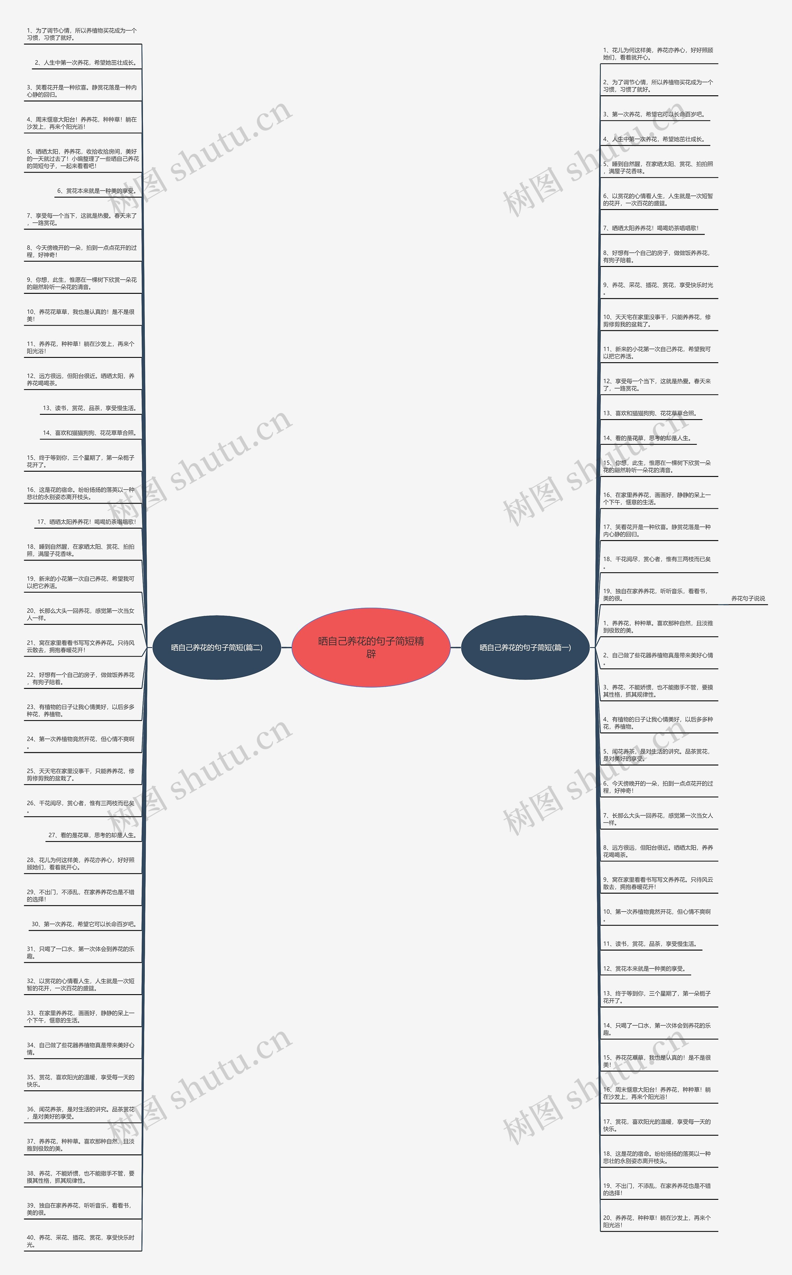 晒自己养花的句子简短精辟思维导图
