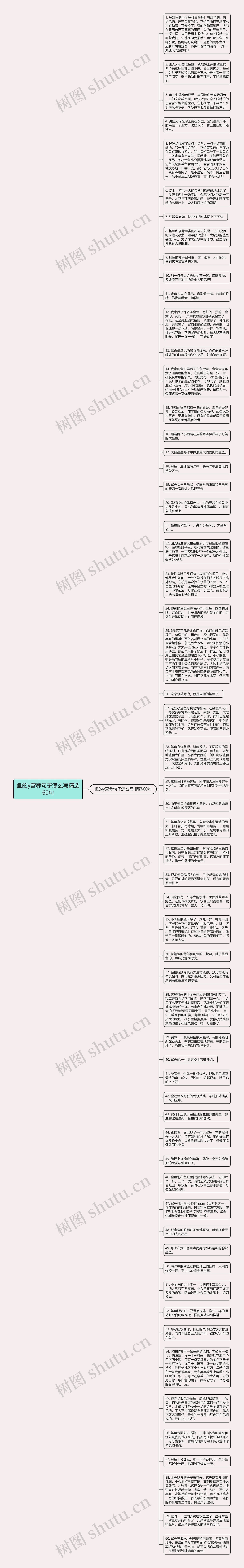 鱼的y营养句子怎么写精选60句思维导图