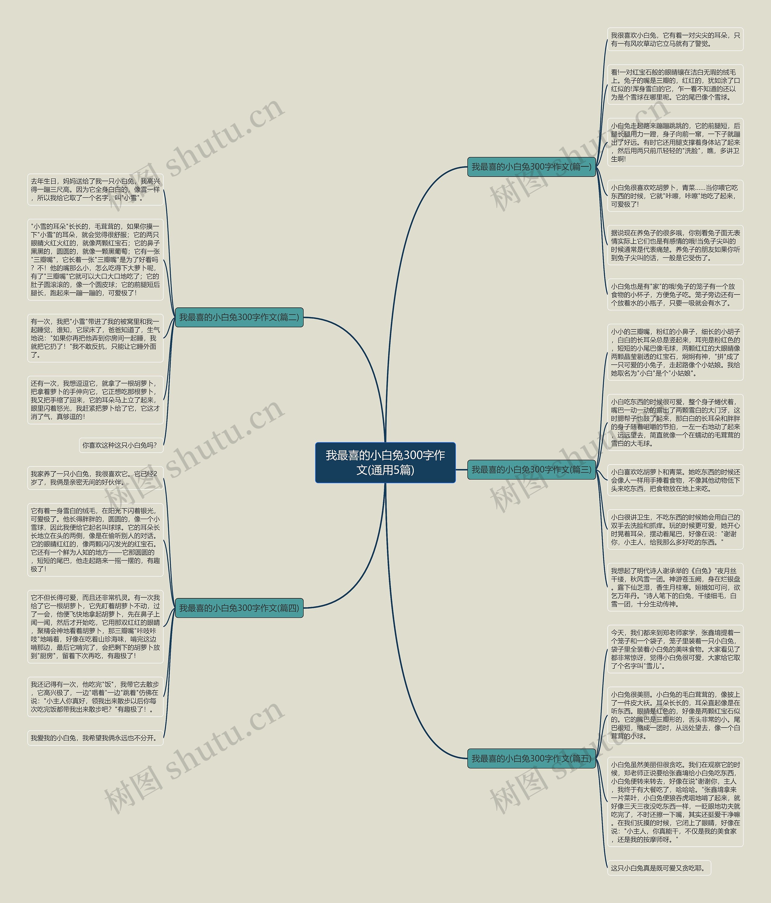 我最喜的小白兔300字作文(通用5篇) 我最喜的小白兔300字作文(通用5篇)